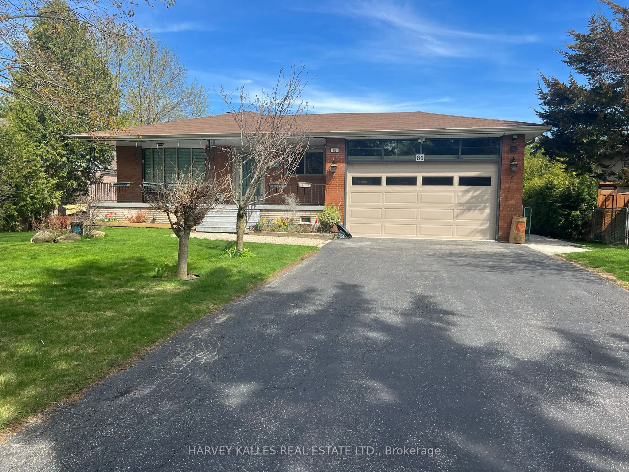 80 Maple Grove Avenue, #Basement