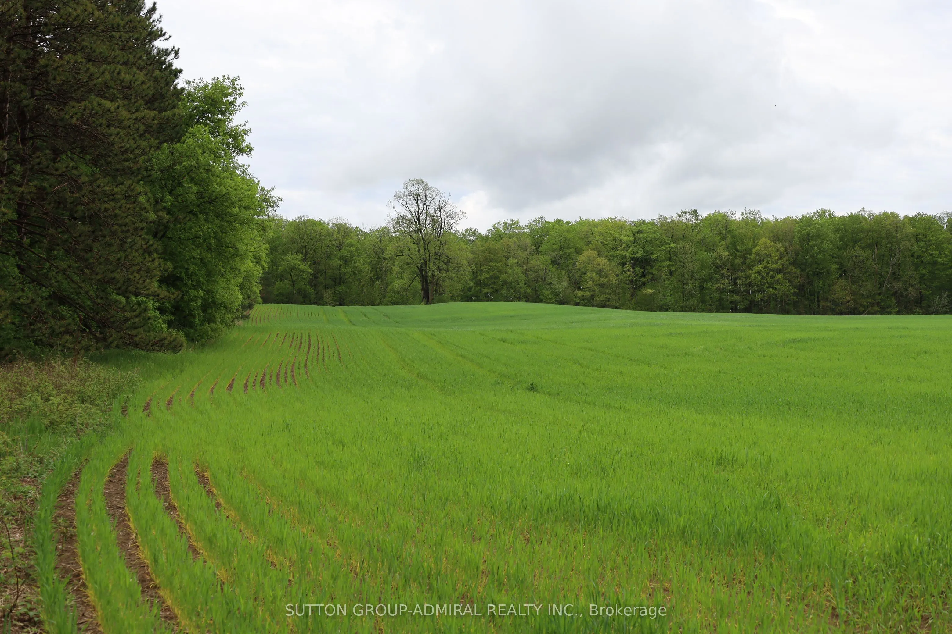 337 Regional Rd. 8 Road