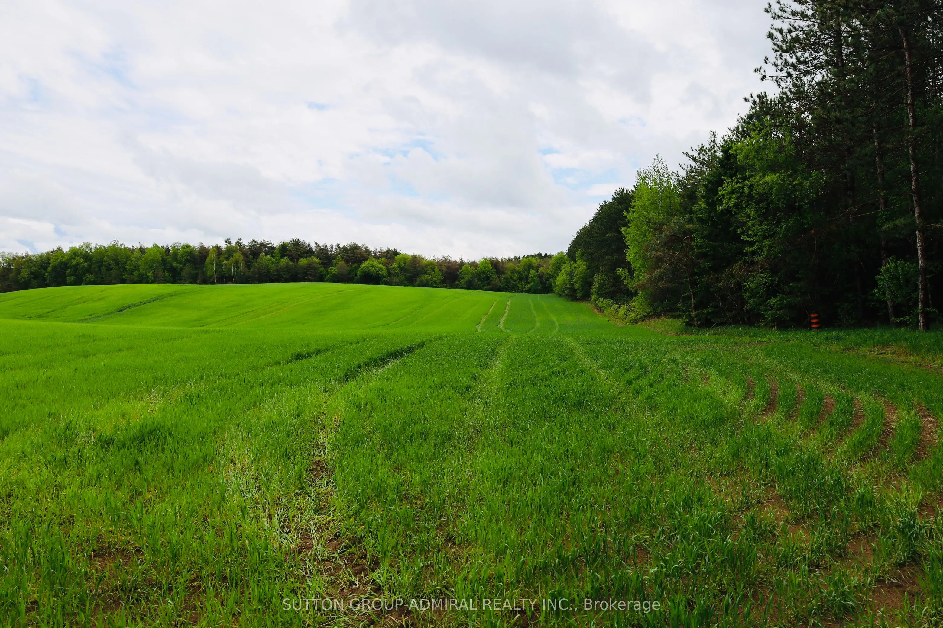 337 Regional Rd. 8 Road