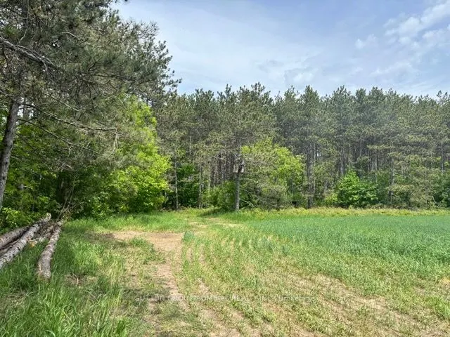 337 Regional Rd. 8 Road