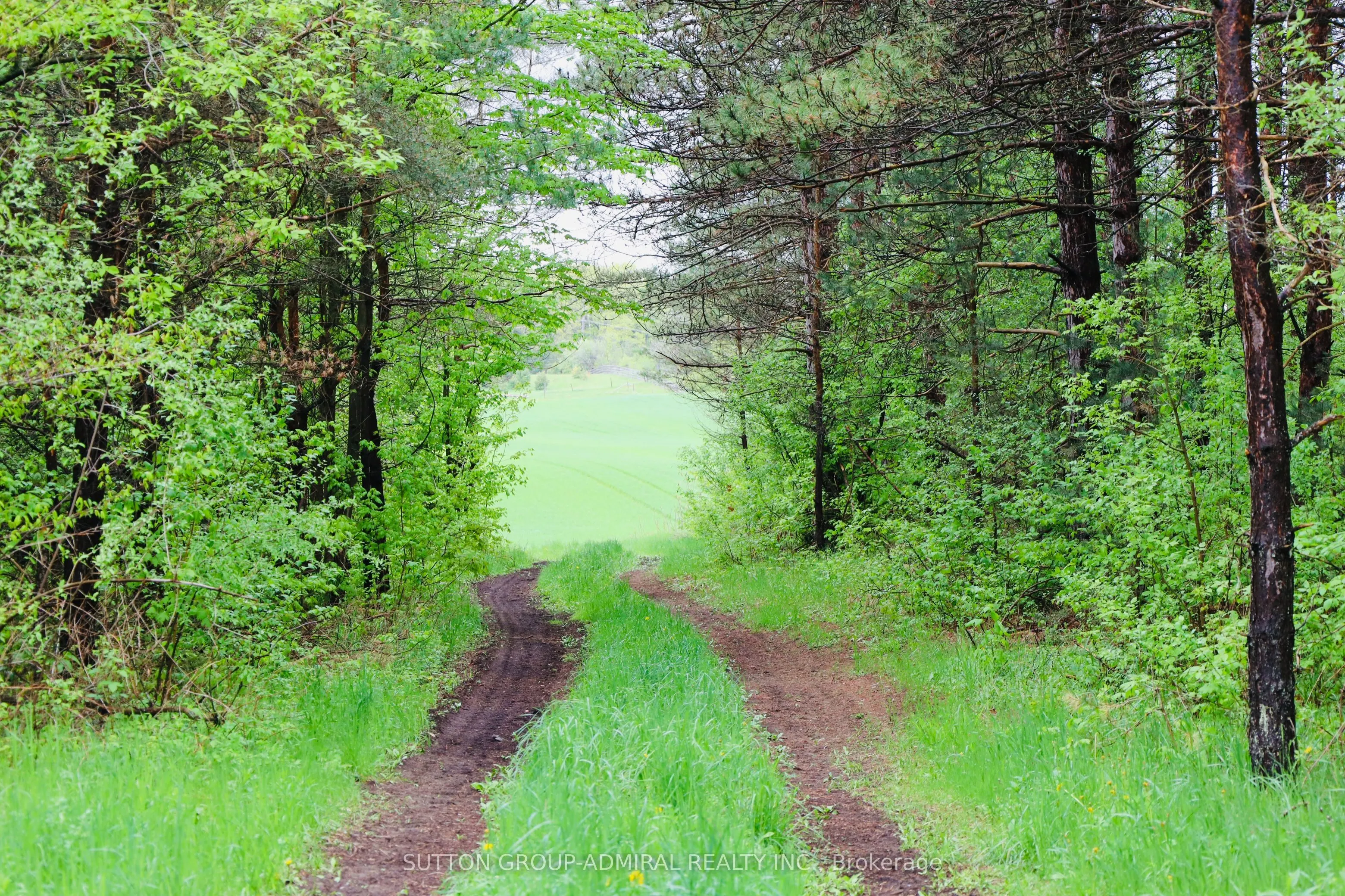 337 Regional Rd. 8 Road