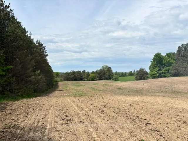 337 Regional Rd. 8 Road