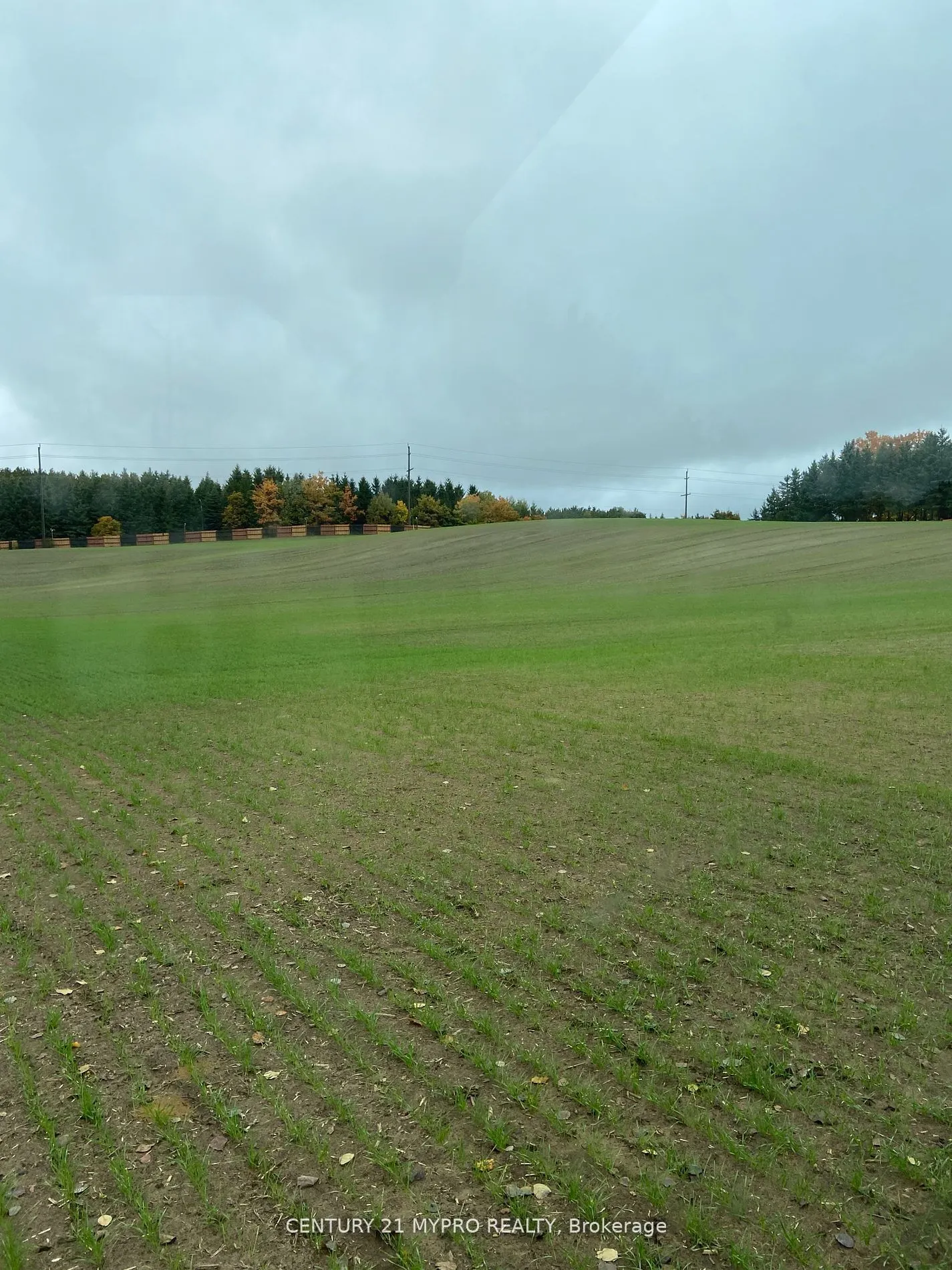 215 Durham Regional Rd 8 Road