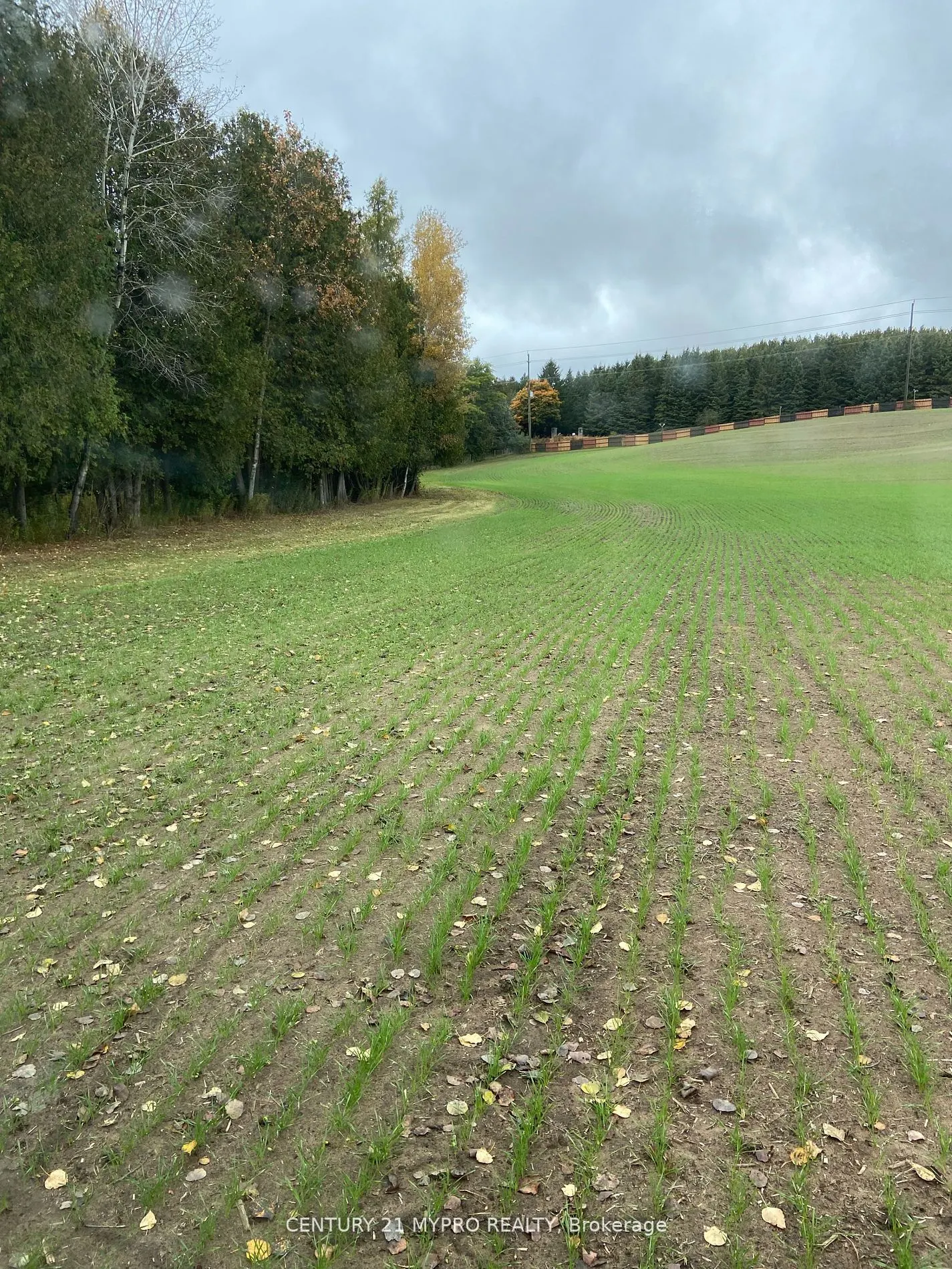 215 Durham Regional Rd 8 Road