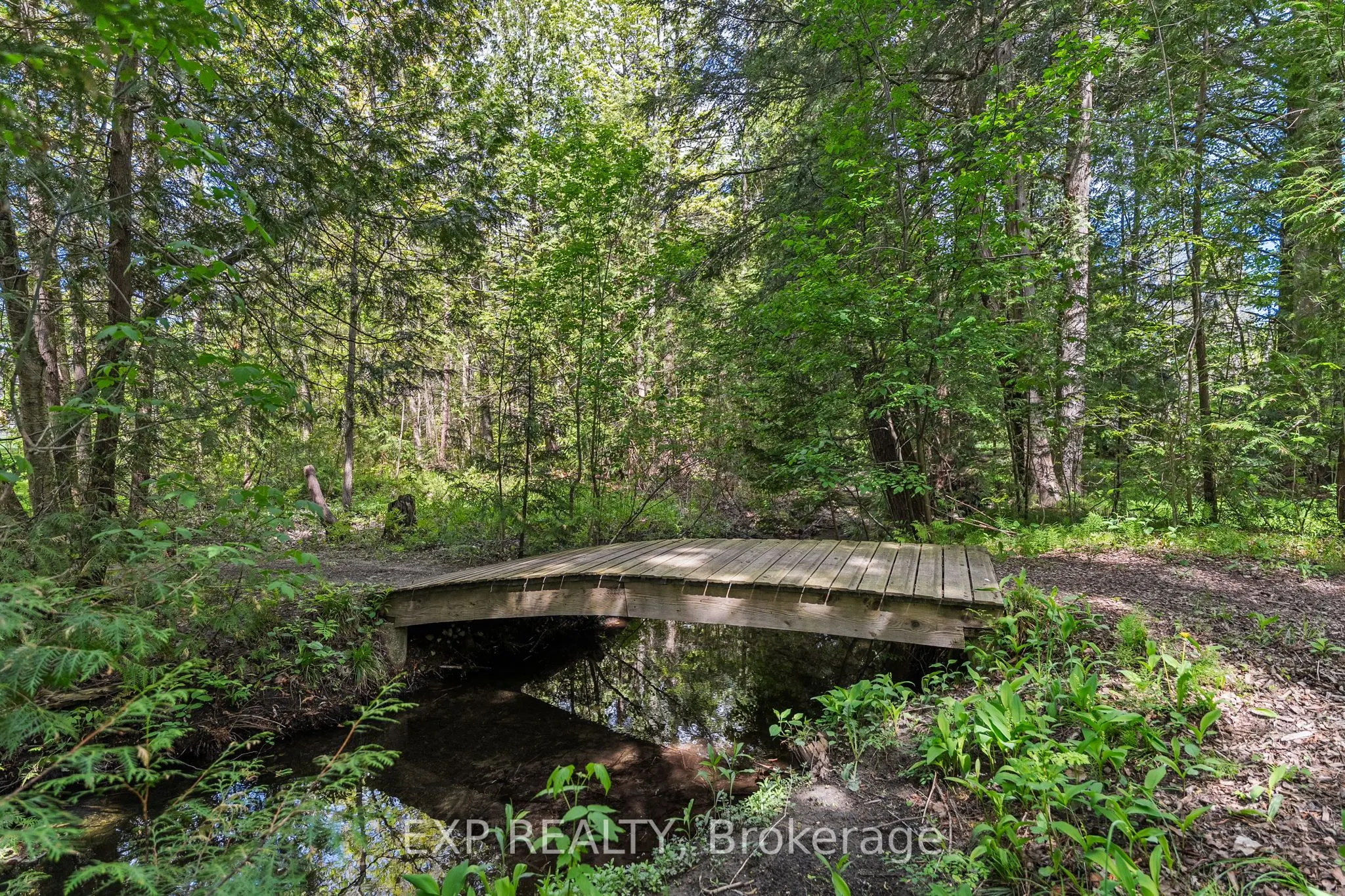16171 7th Concession