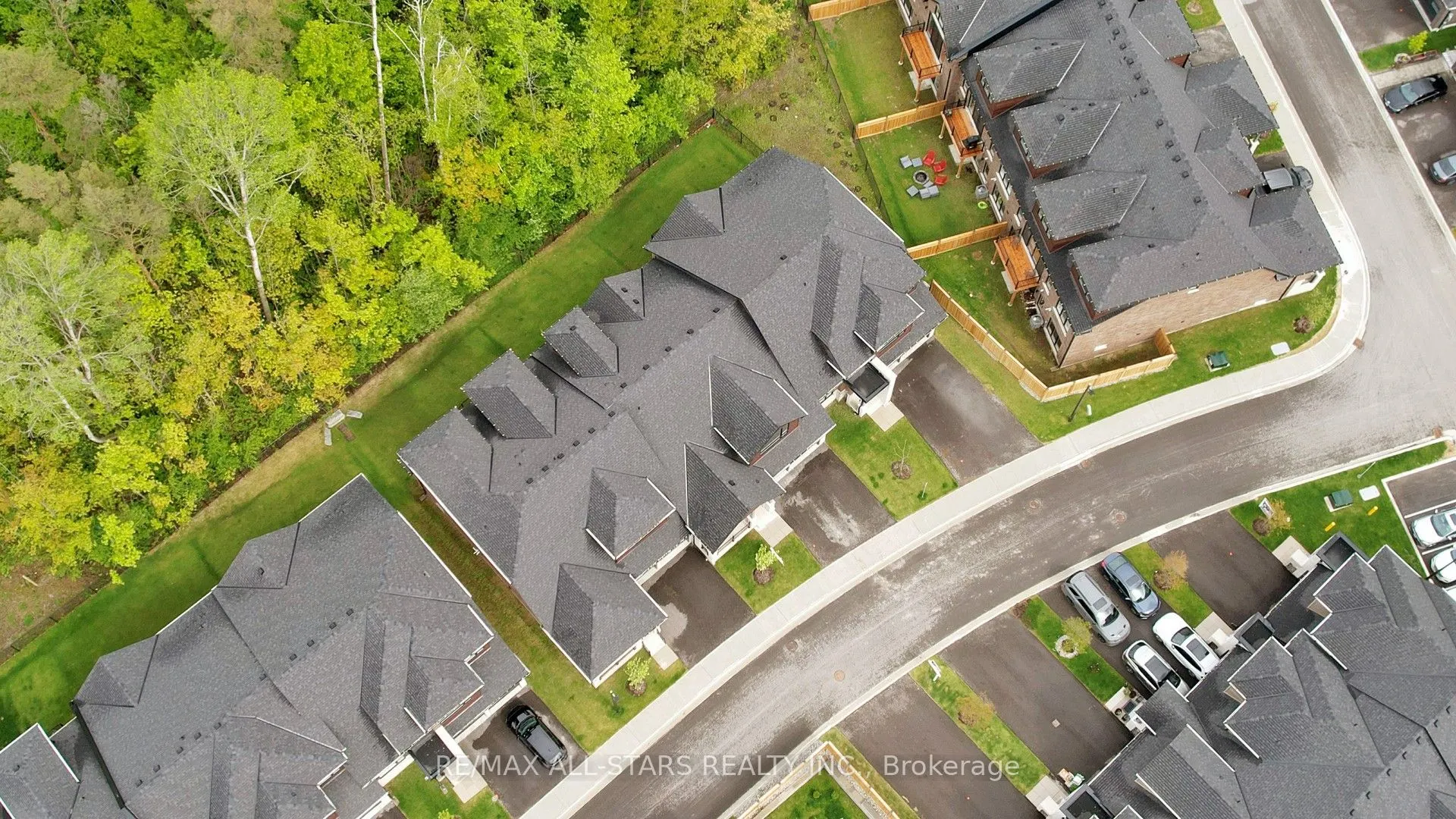 3 Lois Torrance Trail