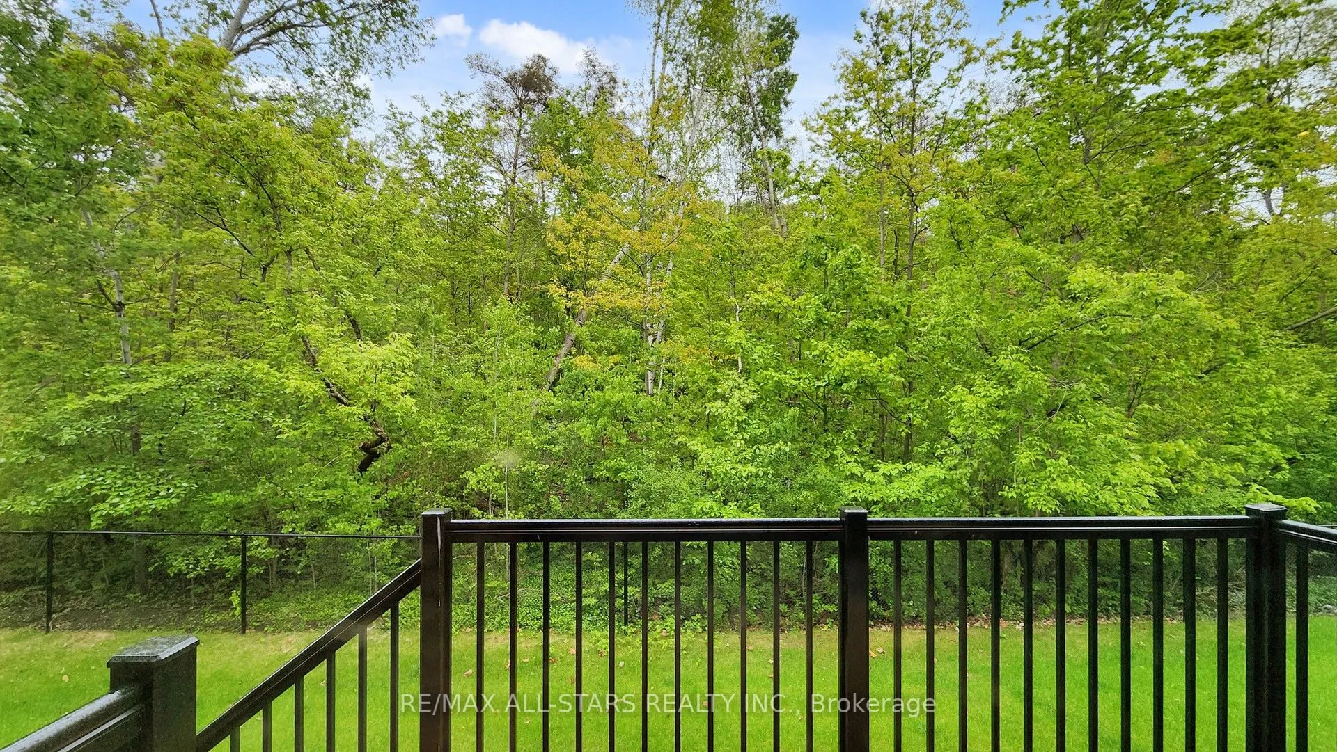 3 Lois Torrance Trail