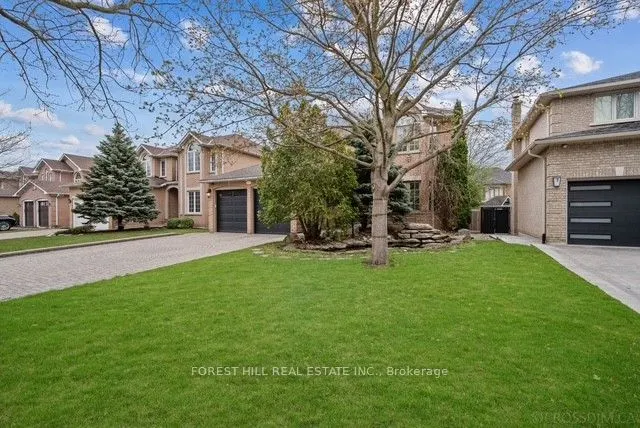 55 Direzze Court