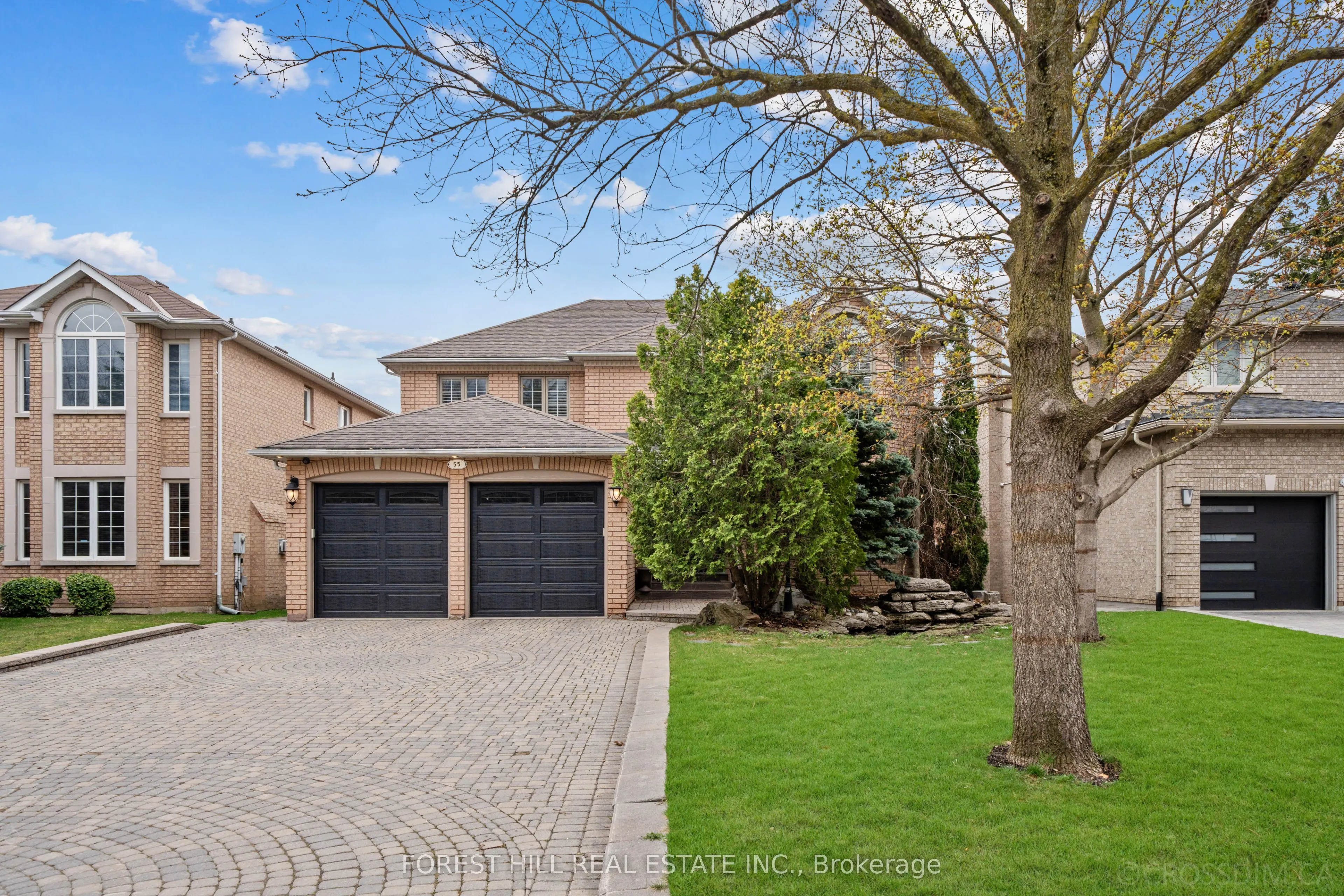 55 Direzze Court