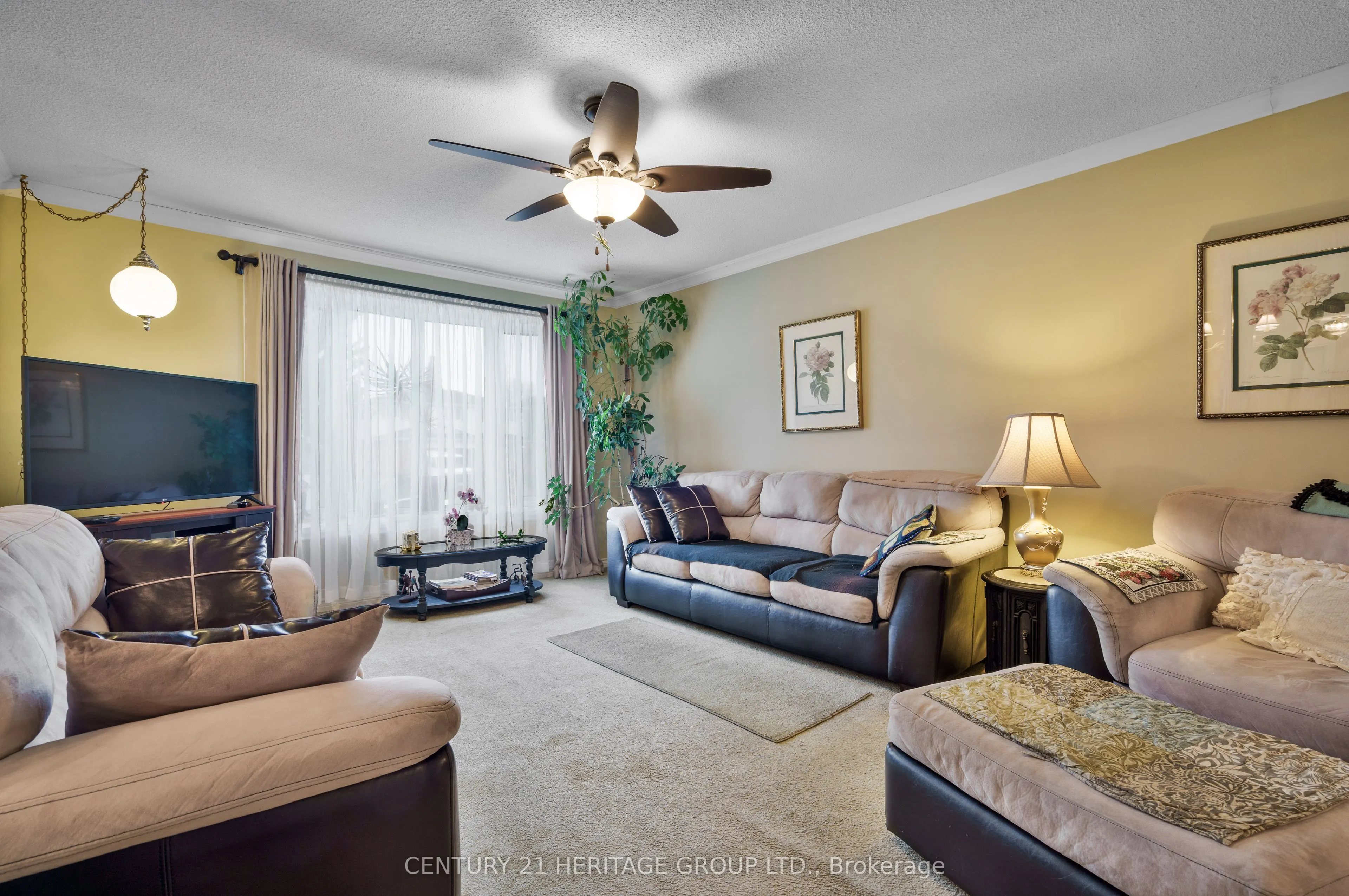 81 Porter Street
