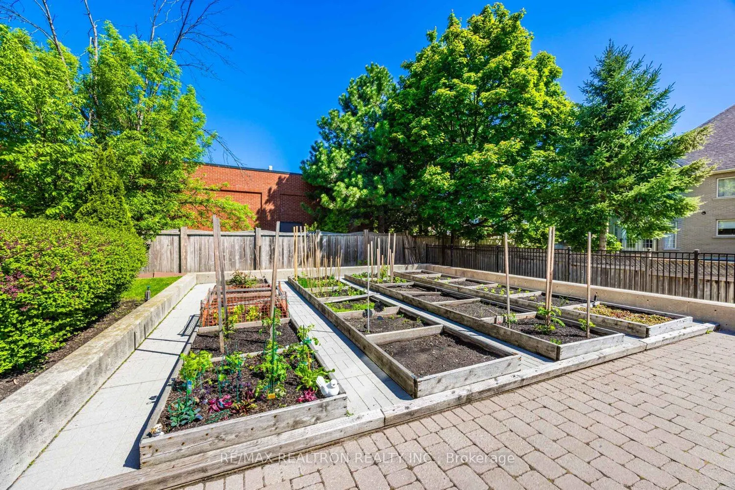 9901 Keele Street, #207