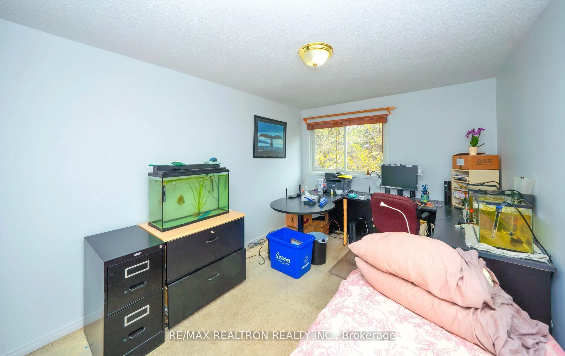 177 North Meadow Crescent