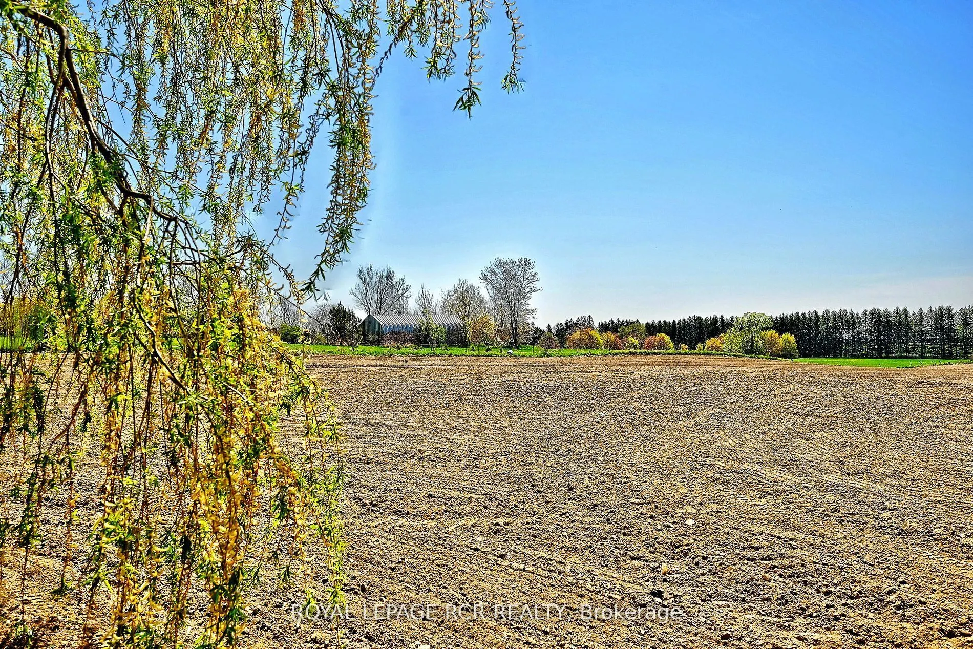 6215 17th Side Road