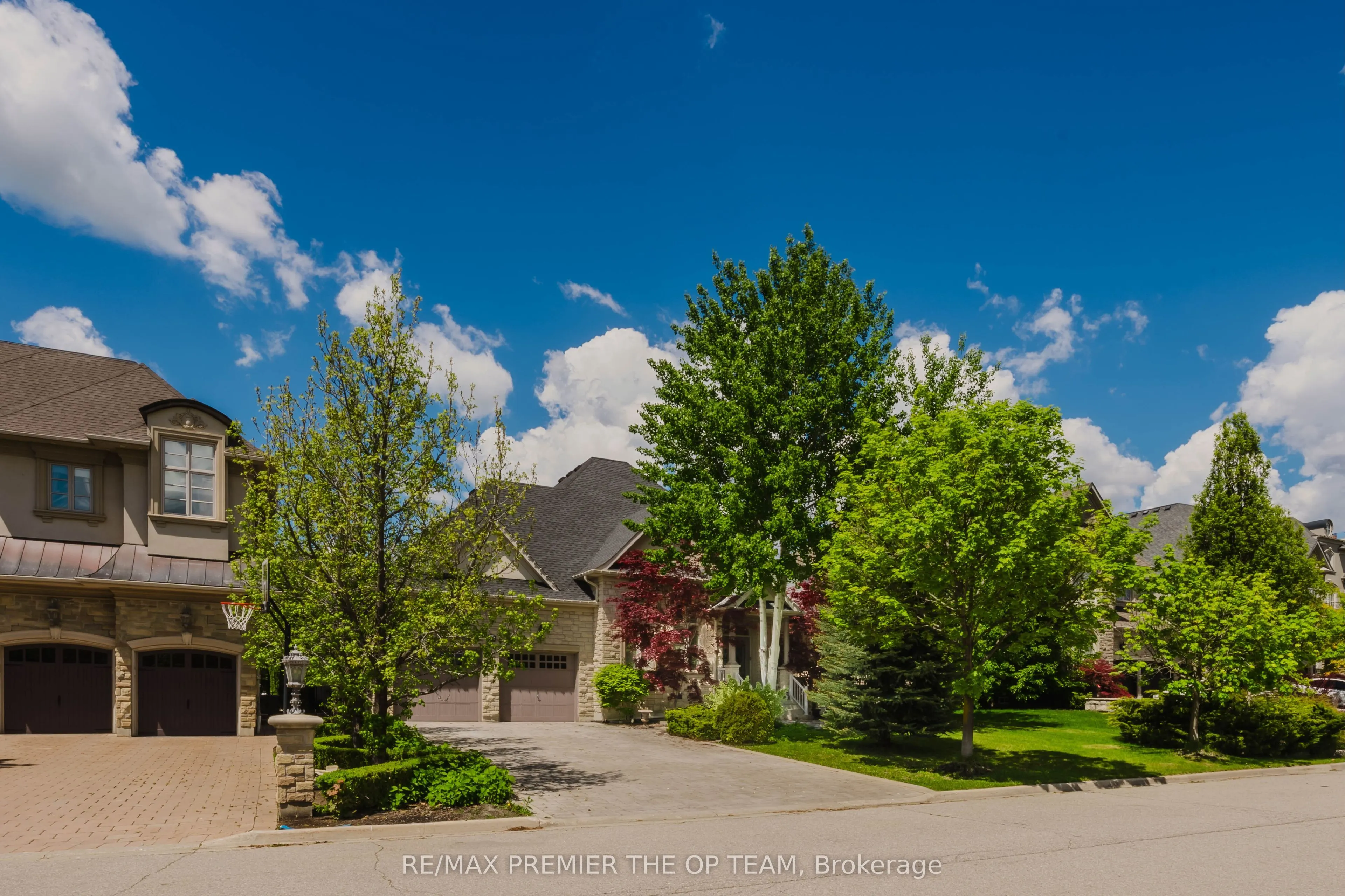 56 Park Ridge Drive #Lower