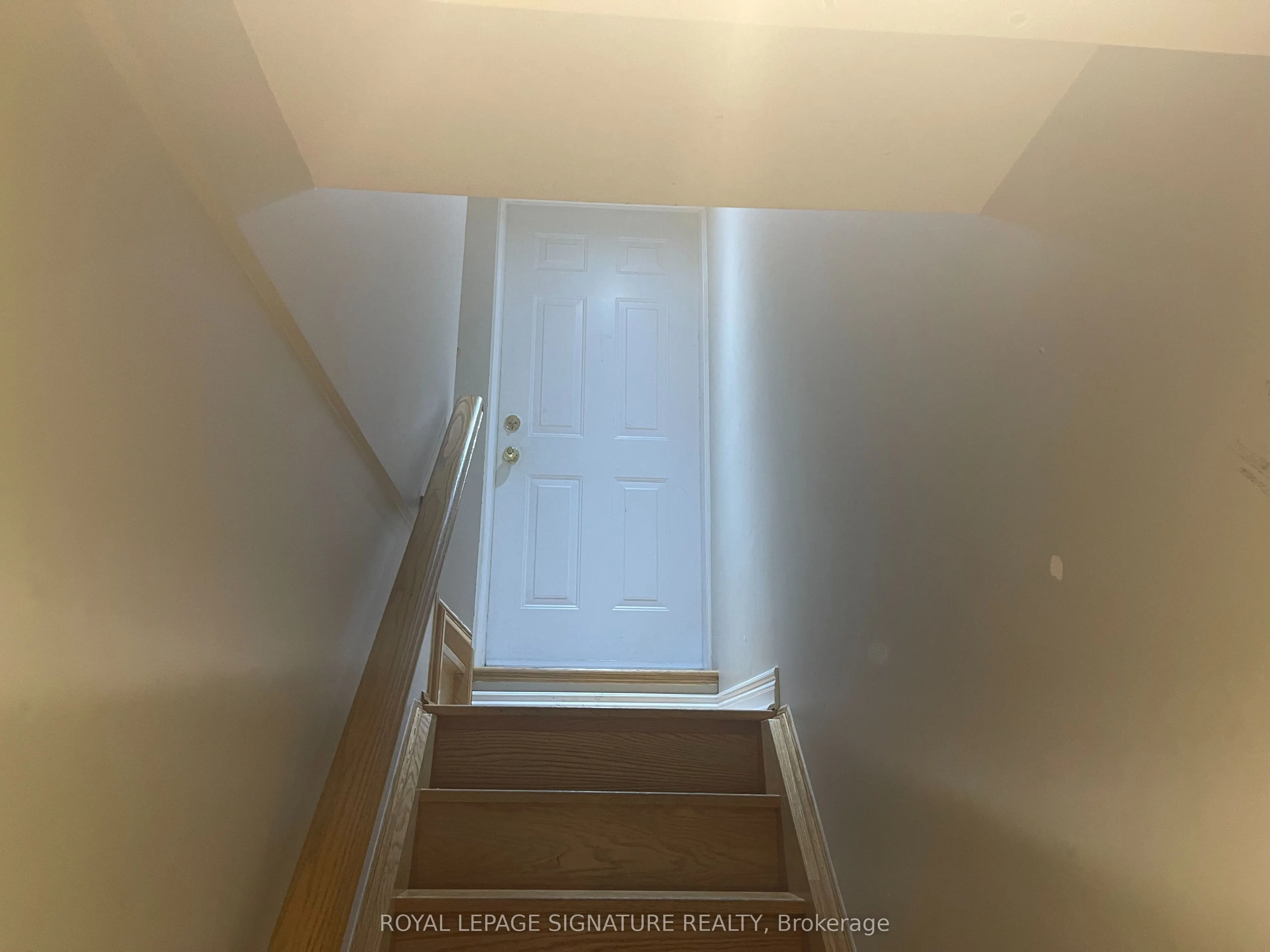 56 National Pine Drive, #Lower