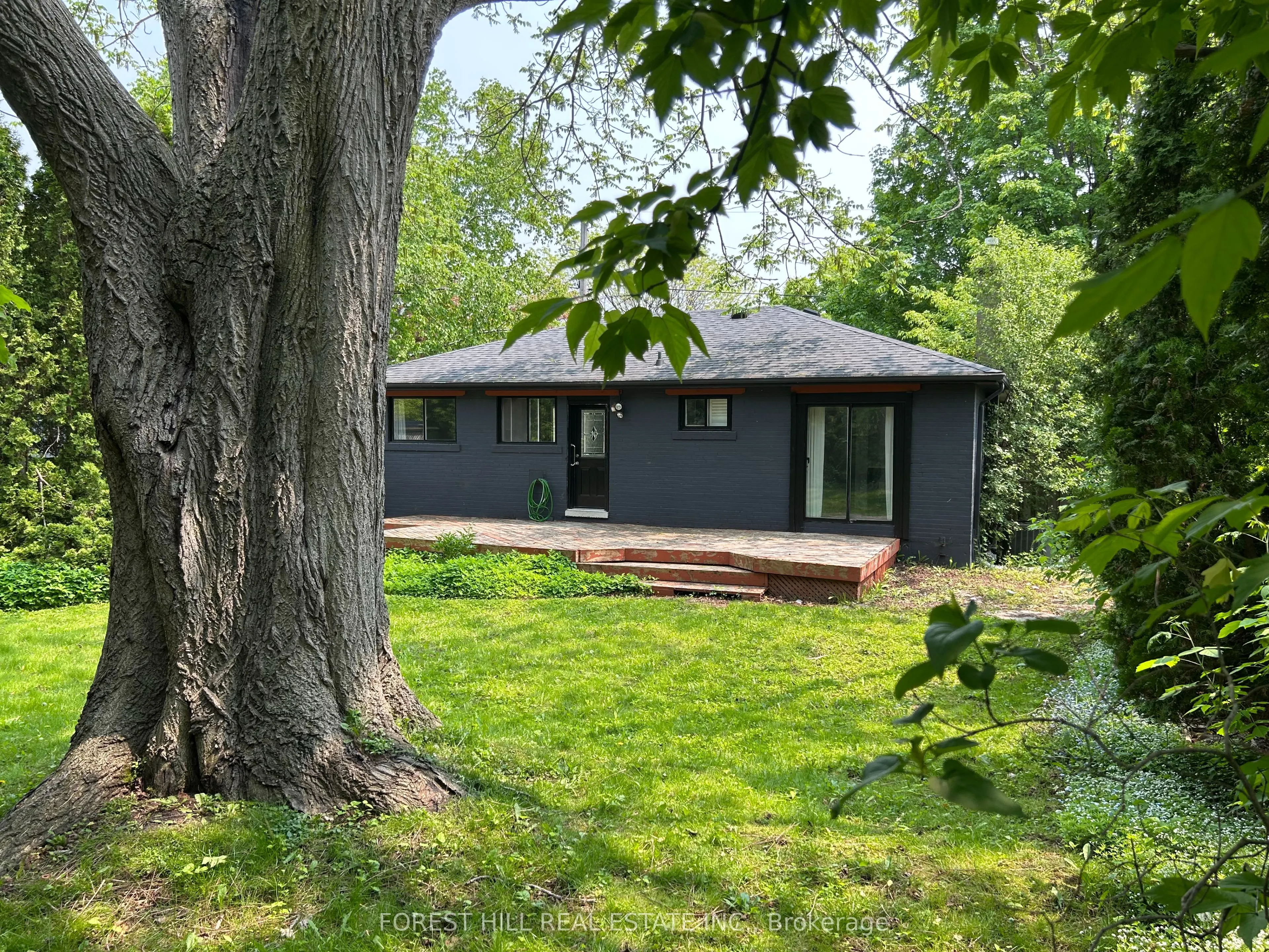 1 Willis Drive