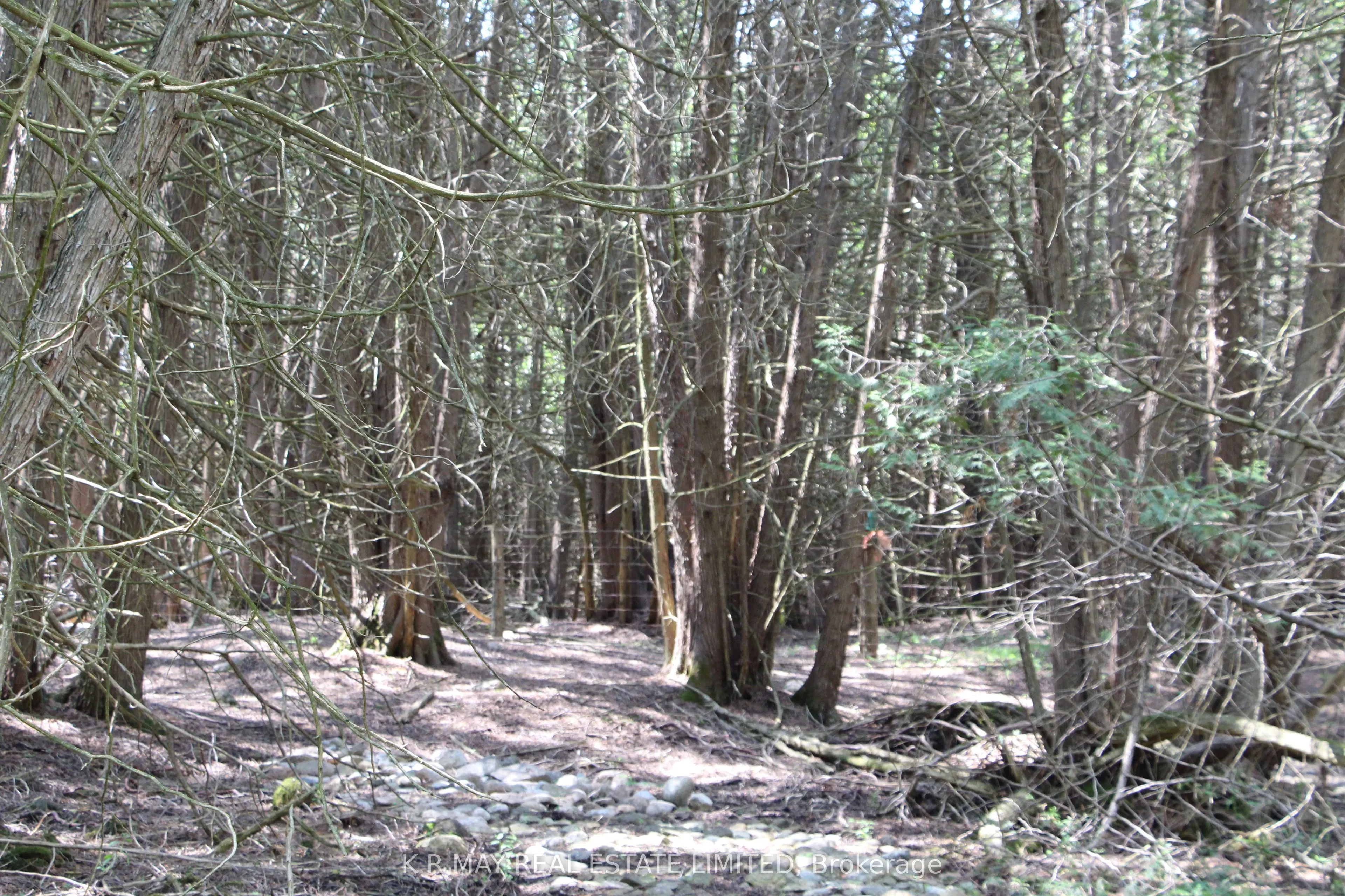 9680 Concession 4