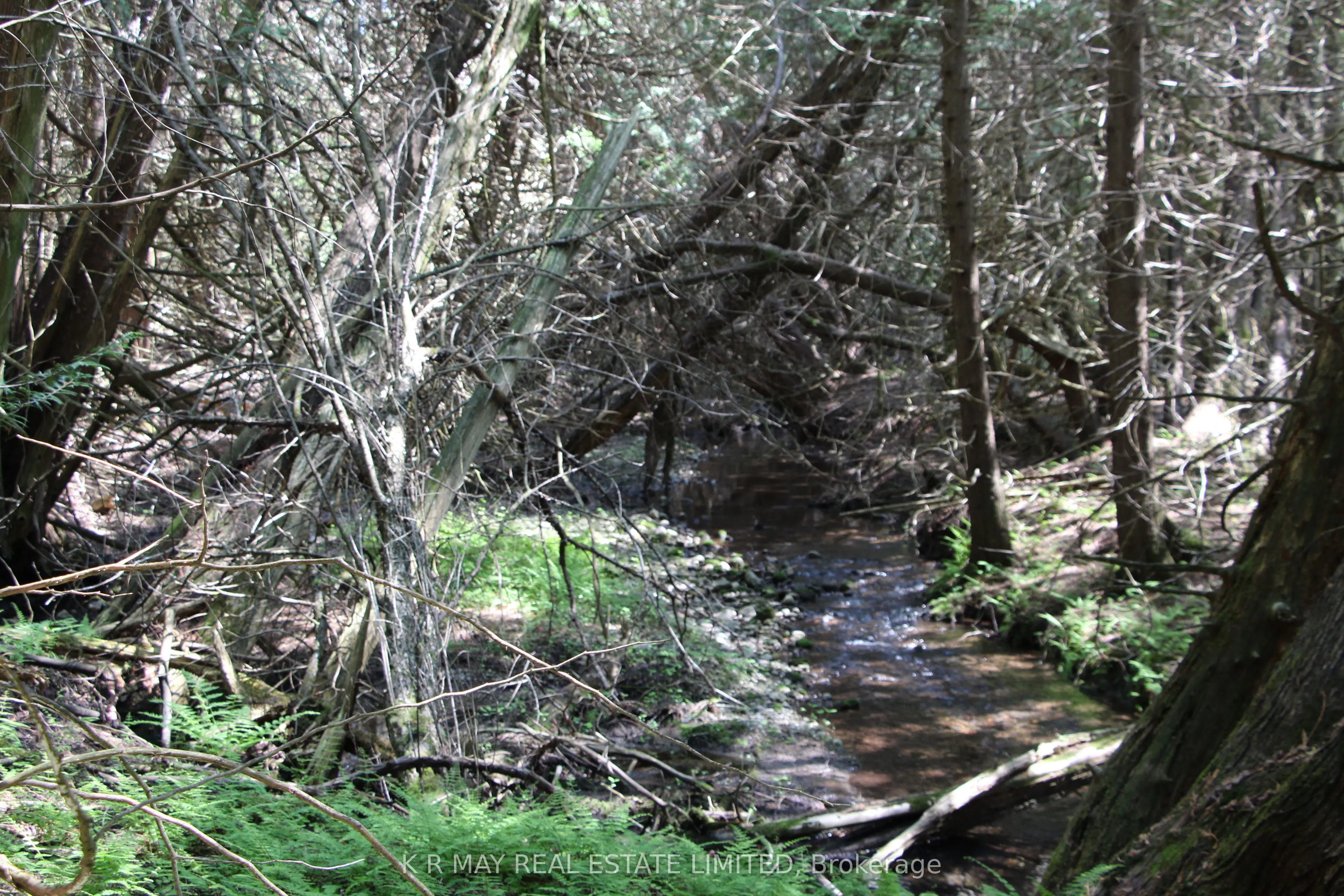 9680 Concession 4