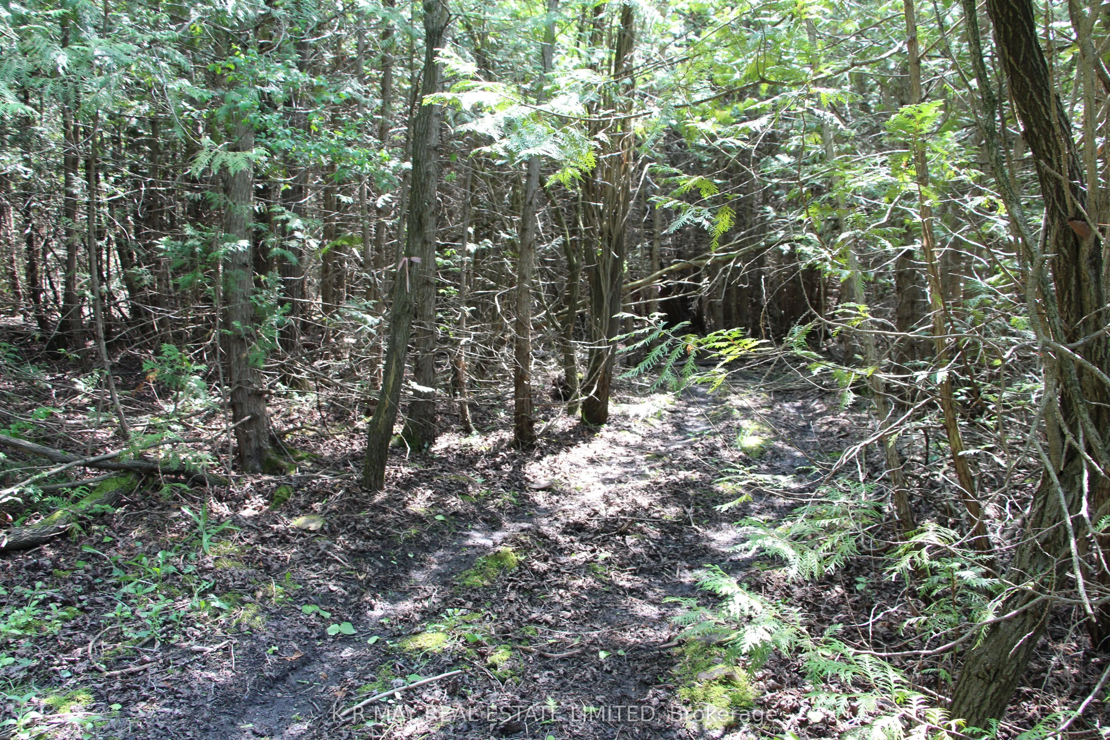 9680 Concession 4