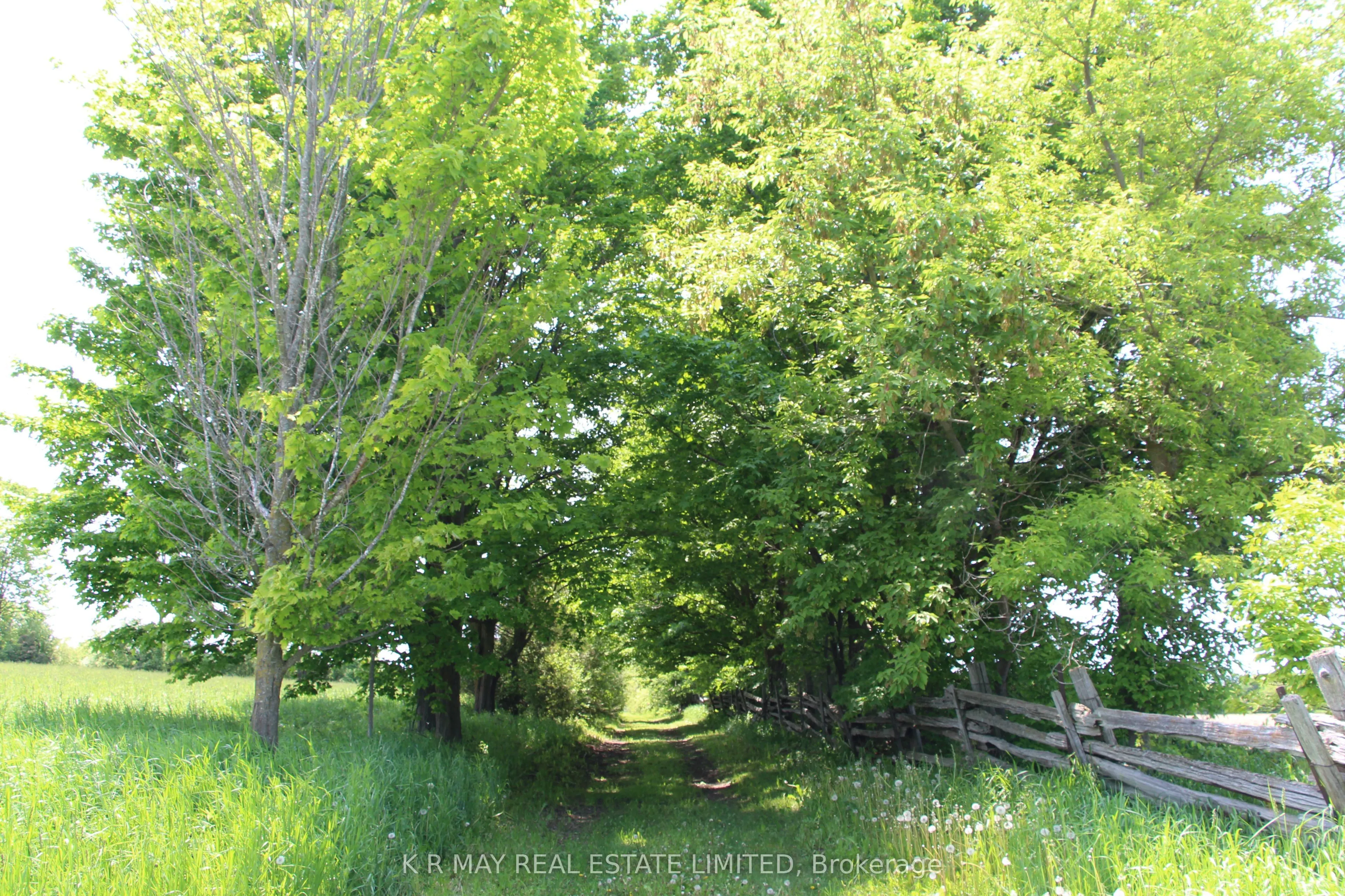 9680 Concession 4