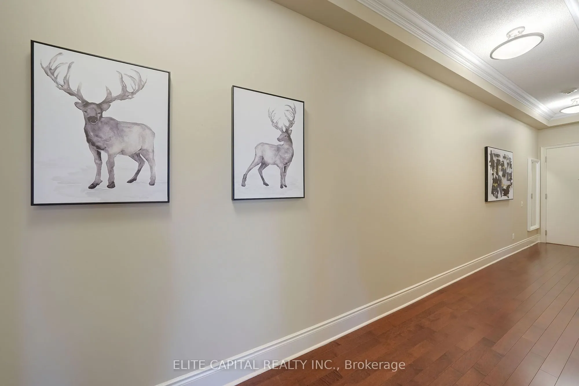 10101 Yonge Street, #115