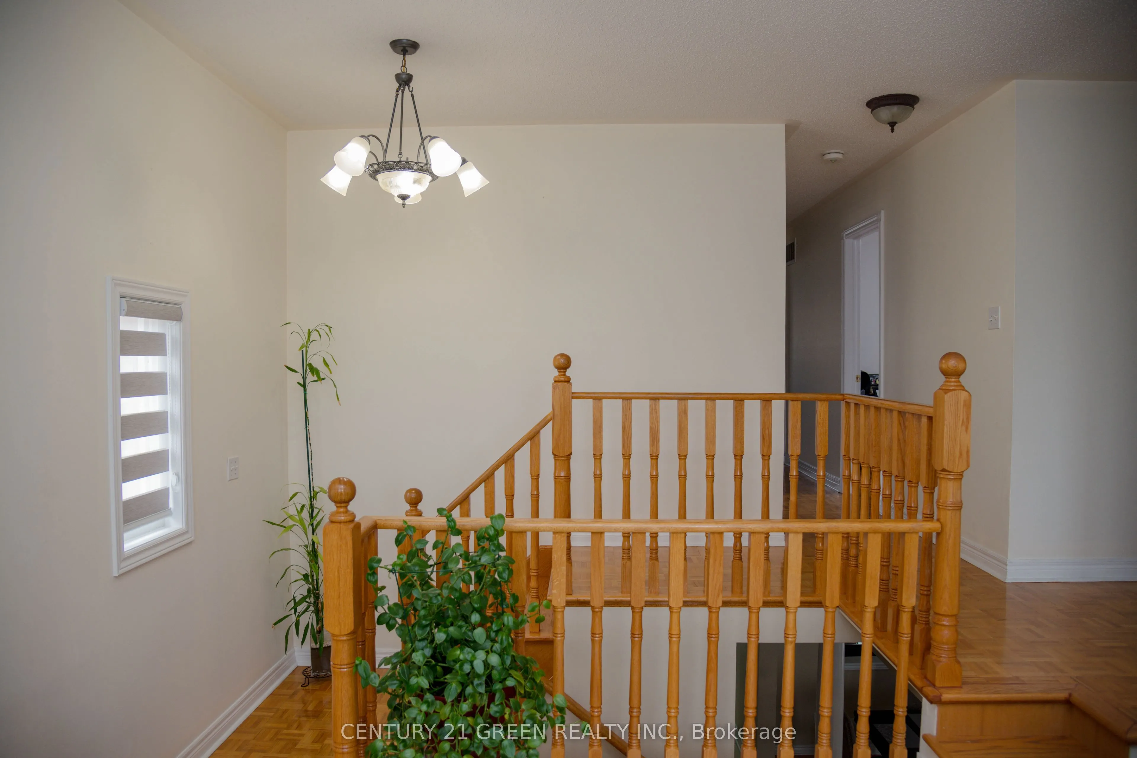 41 Sequoia Road
