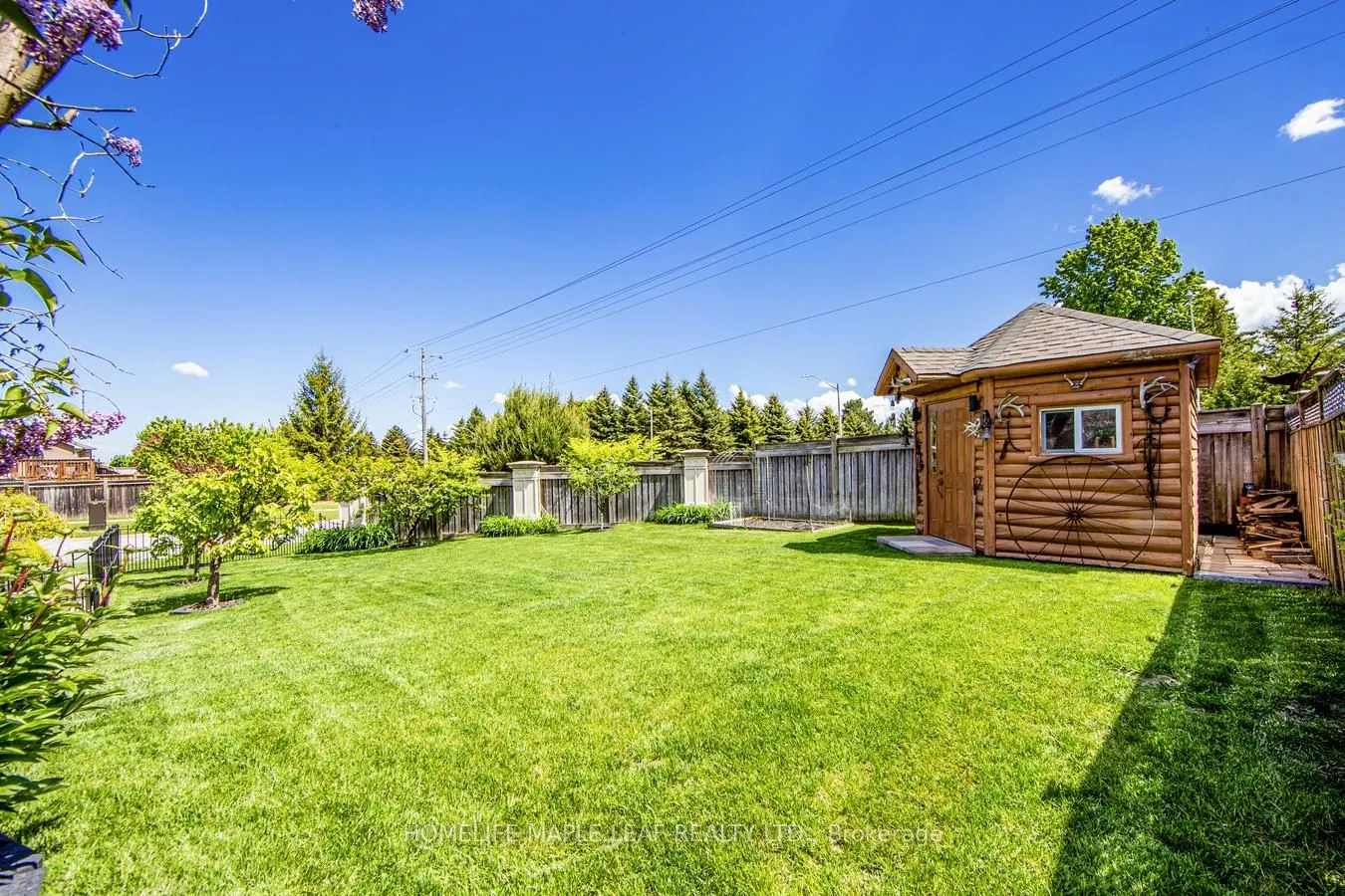 37 Saint Avenue