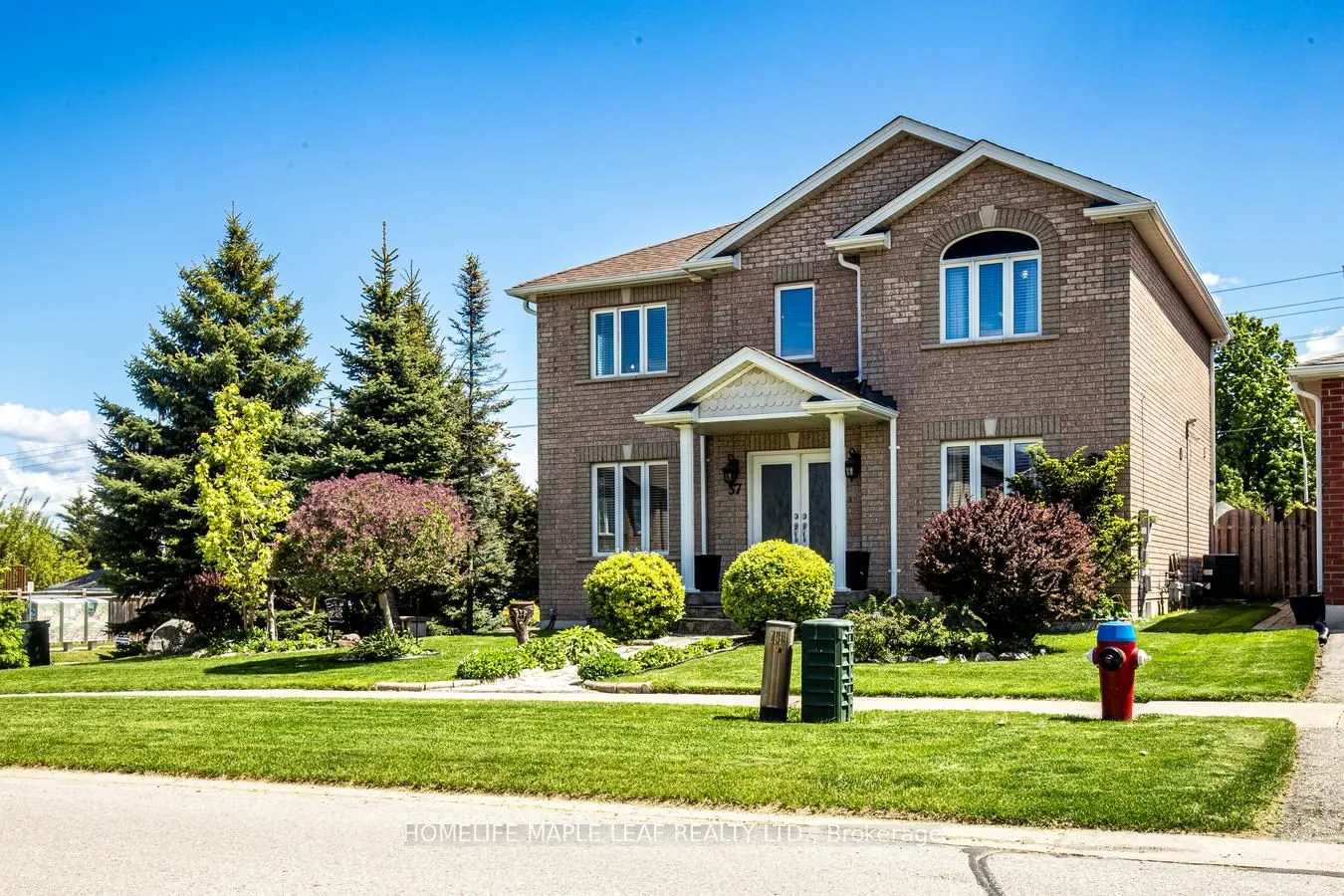 37 Saint Avenue