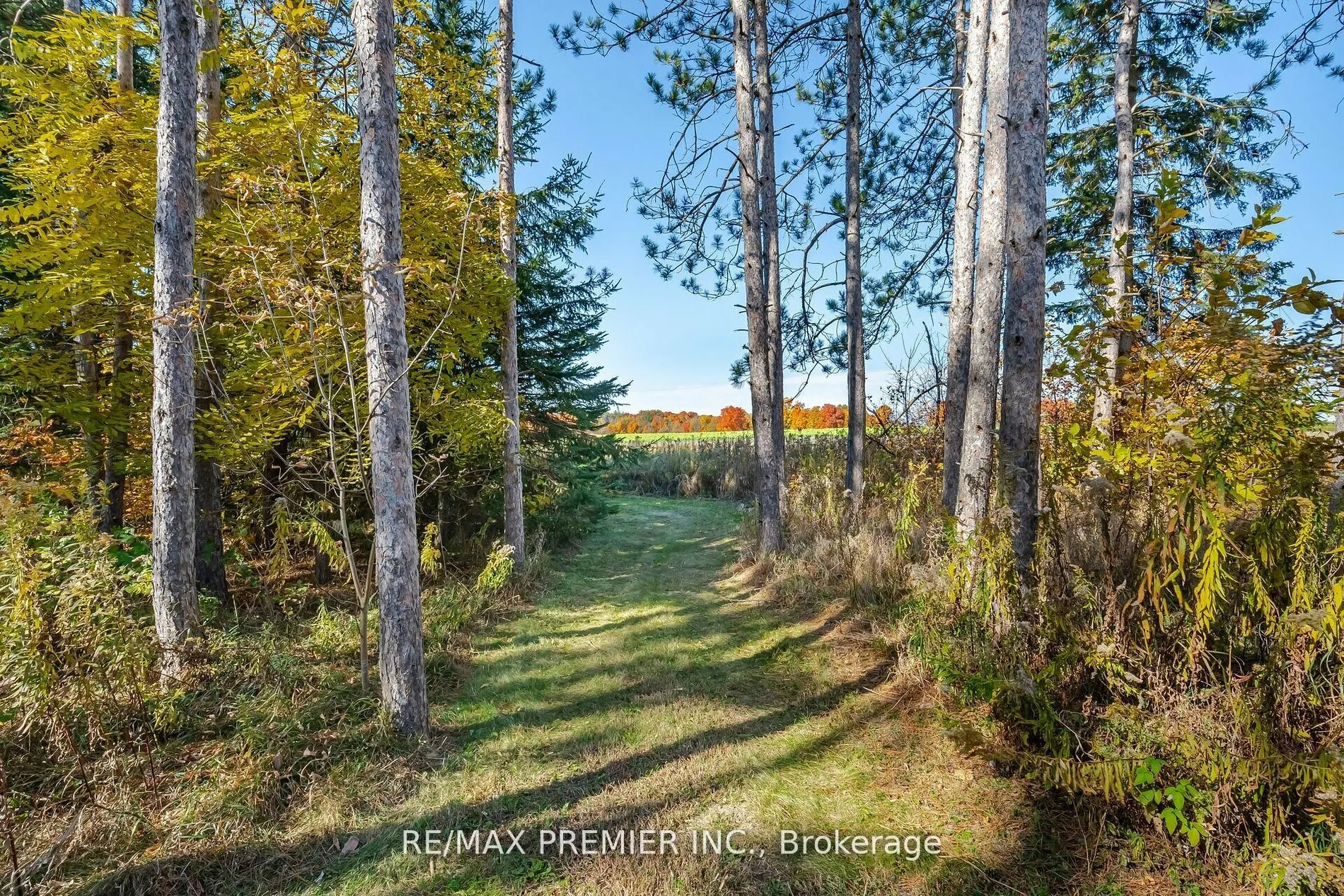4904 10th Side Road