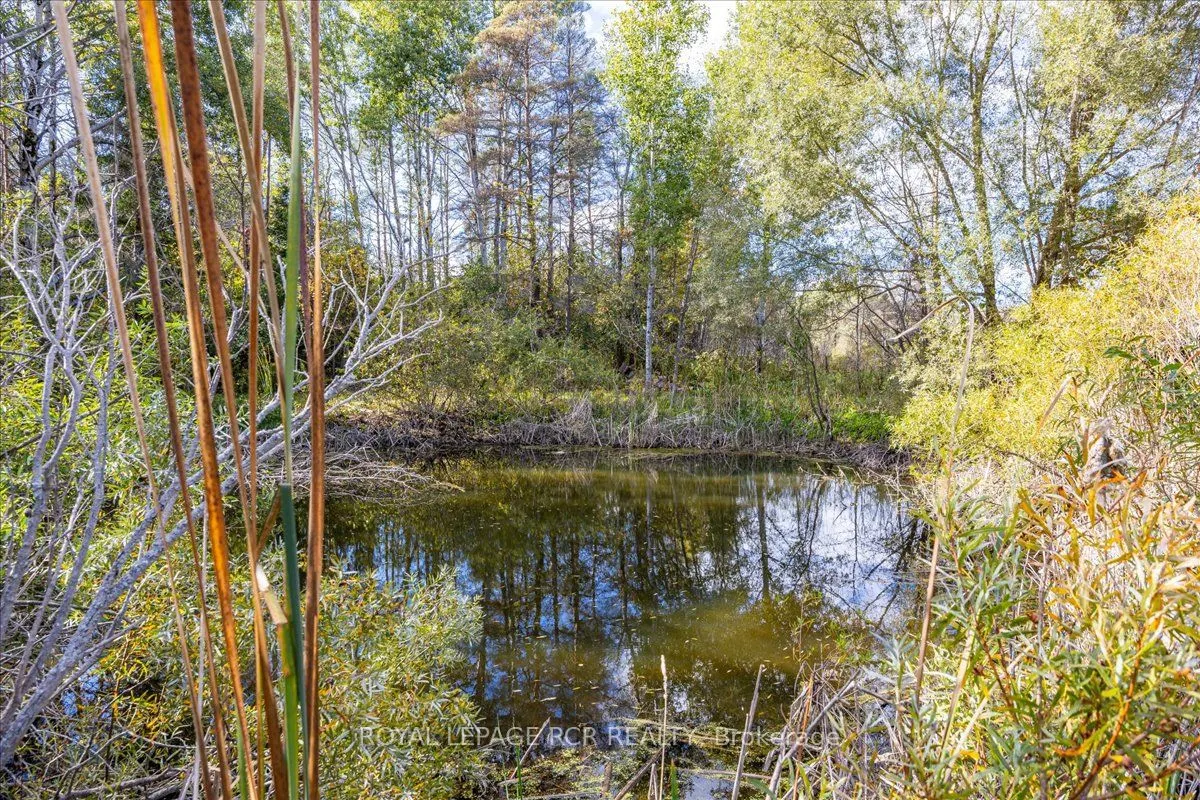21324 McCowan Road