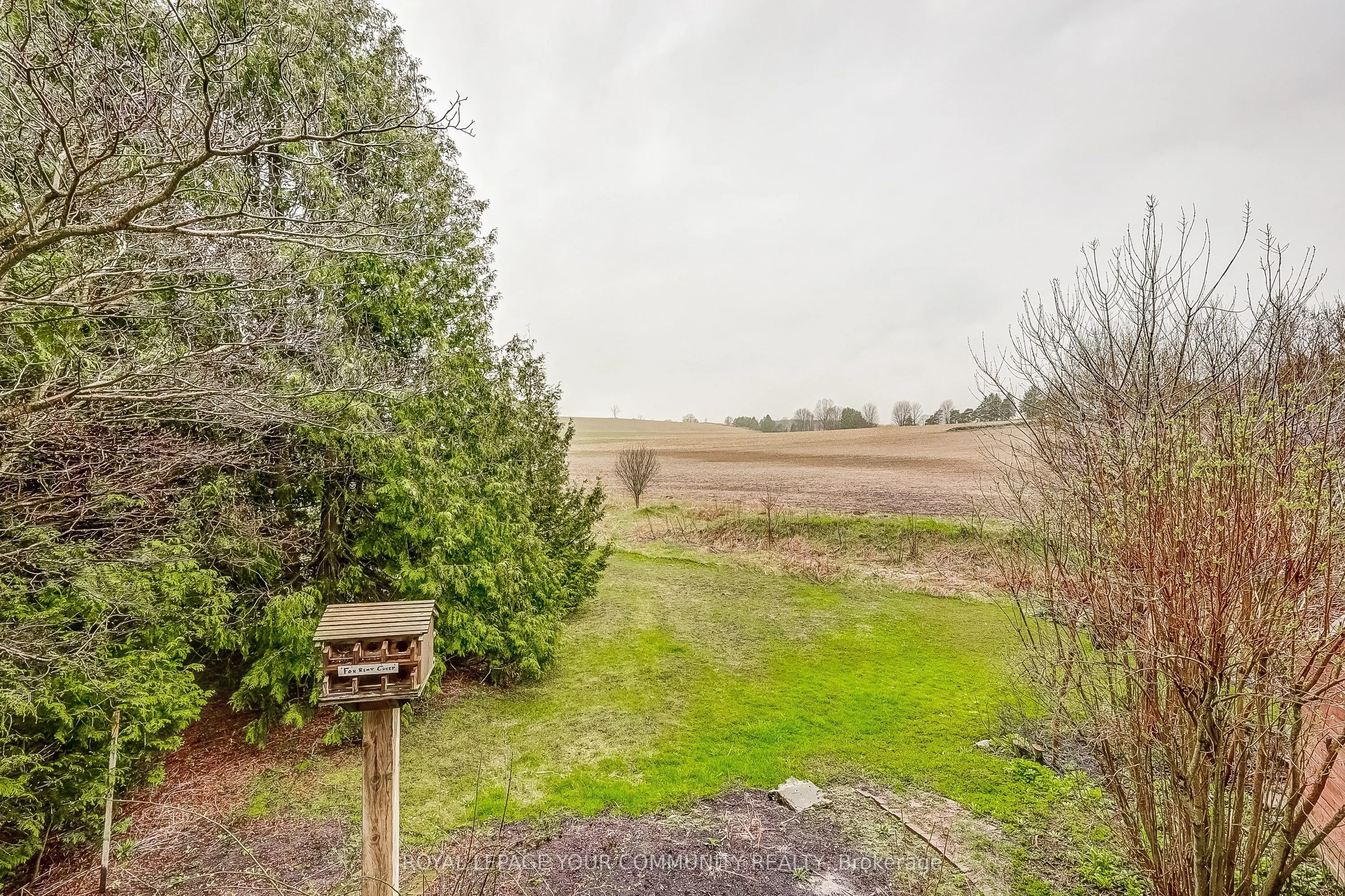 13020 Concession Road 5