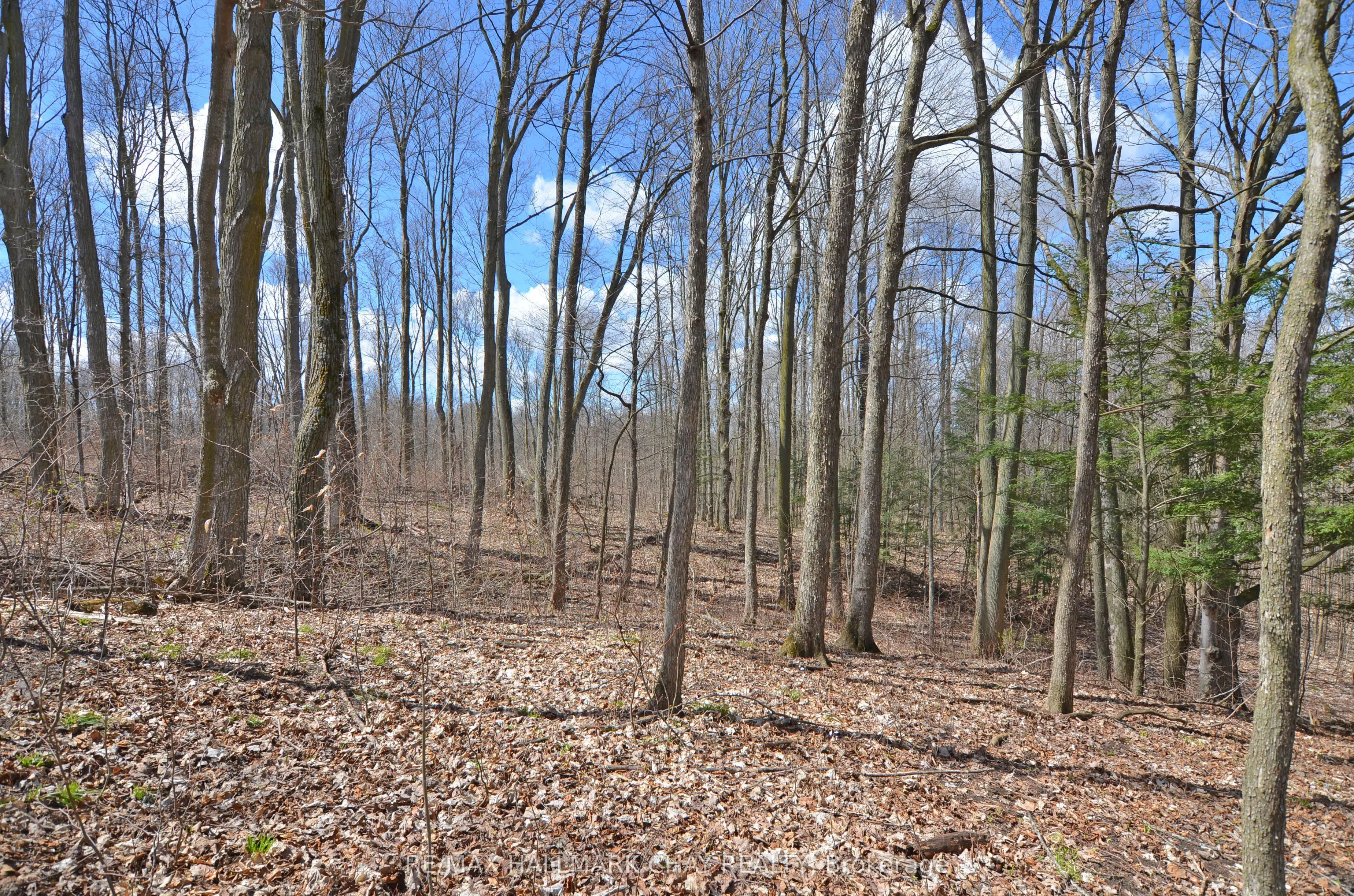 6280 County Rd 15