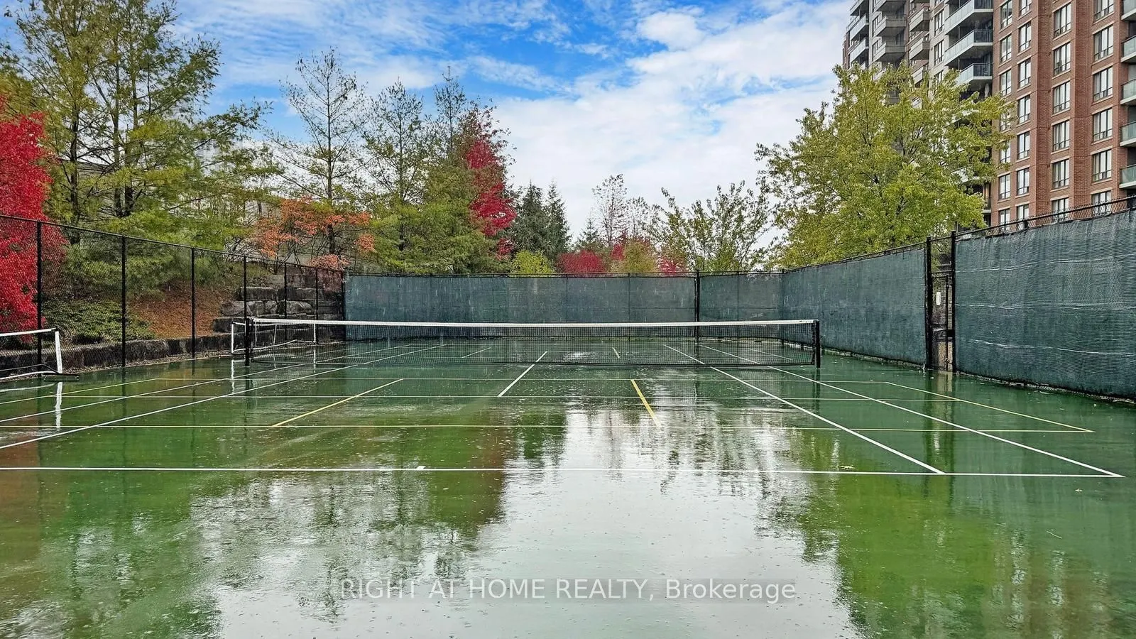 350 Red Maple Road, #817