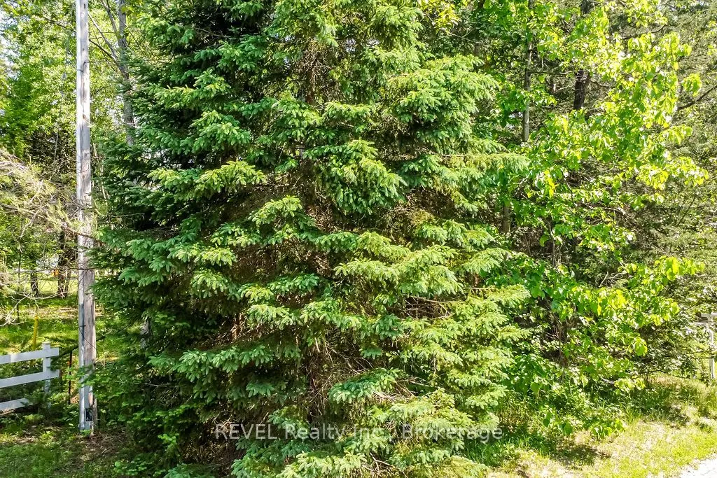 27B Pine River Road