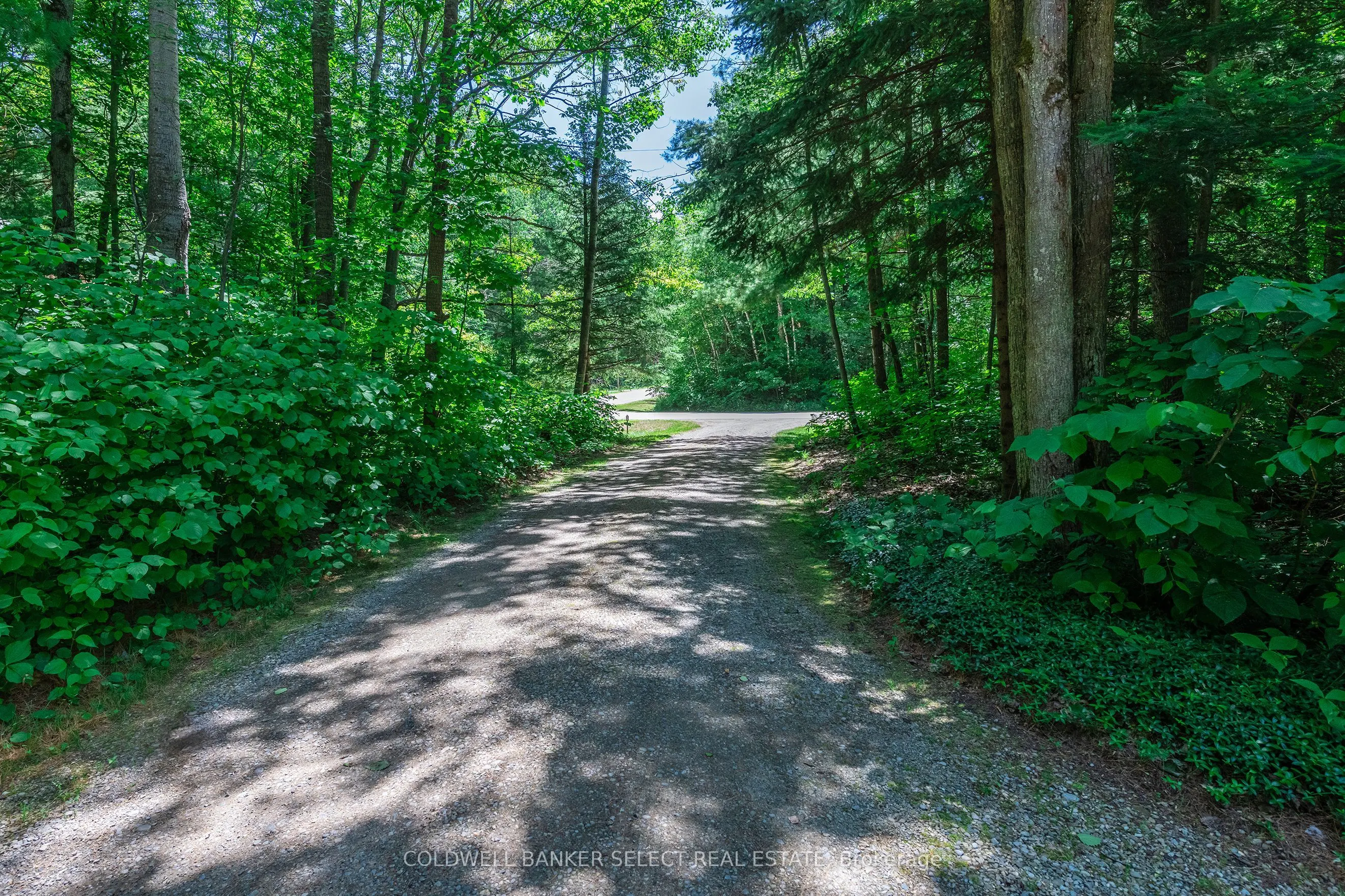 2 Trillium Trail