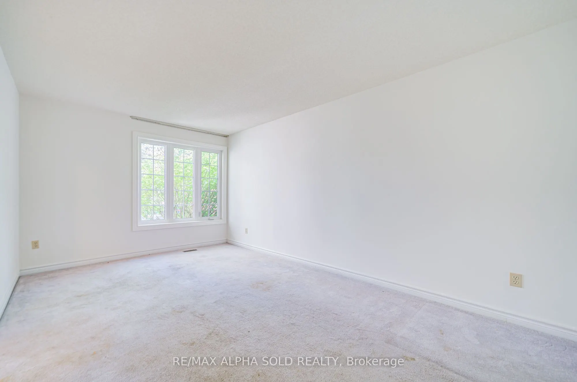 341 Jelley Avenue