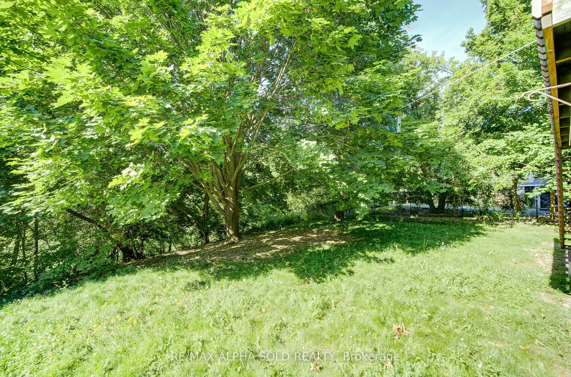 341 Jelley Avenue
