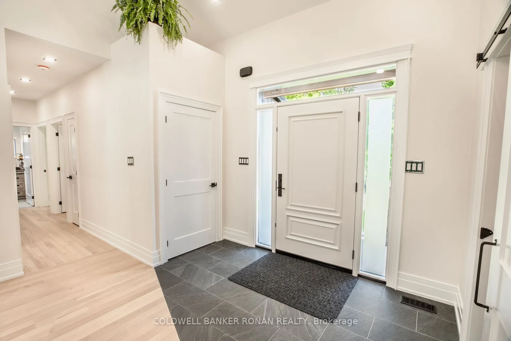 9243 County Road 1