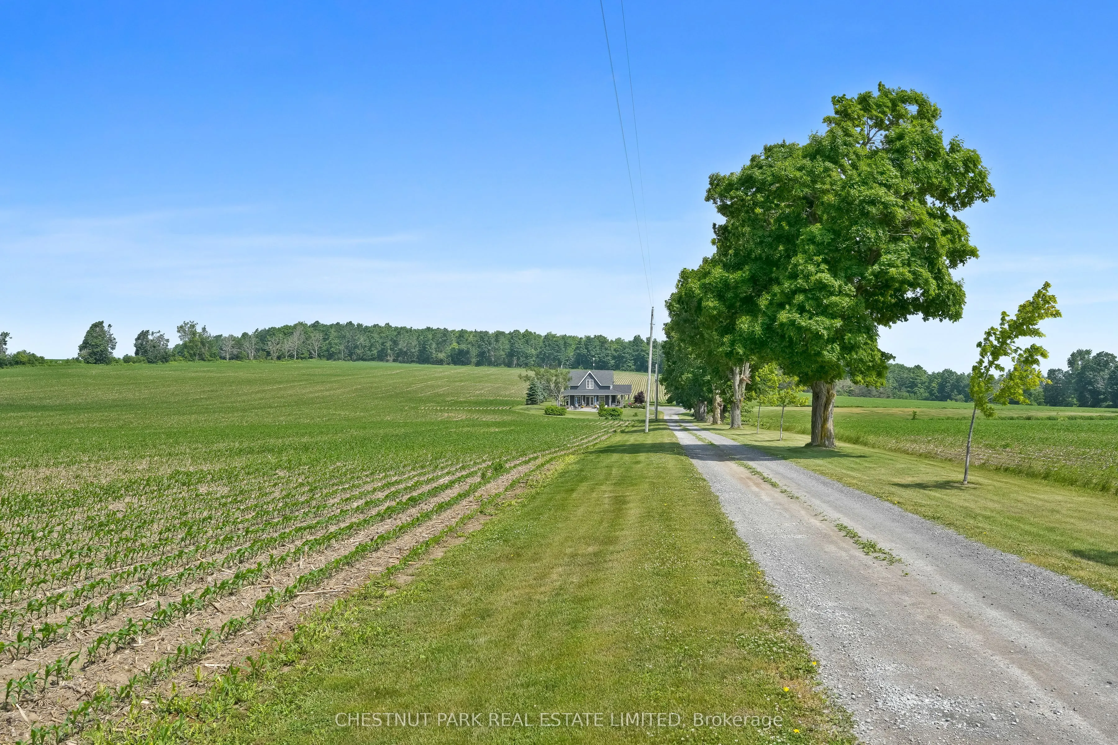 1985 Regional Road 13 Road