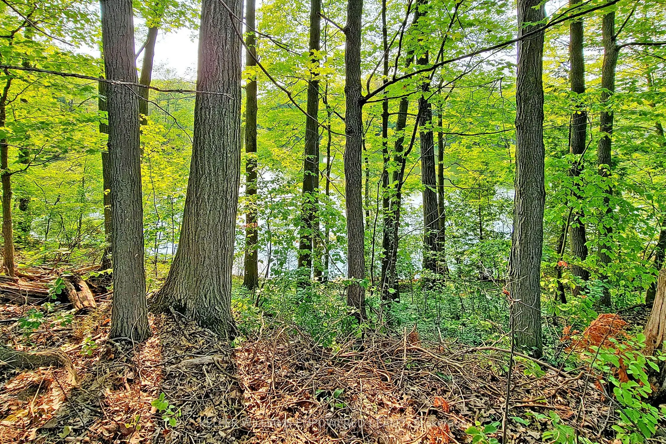 16 Bayview Park Lane