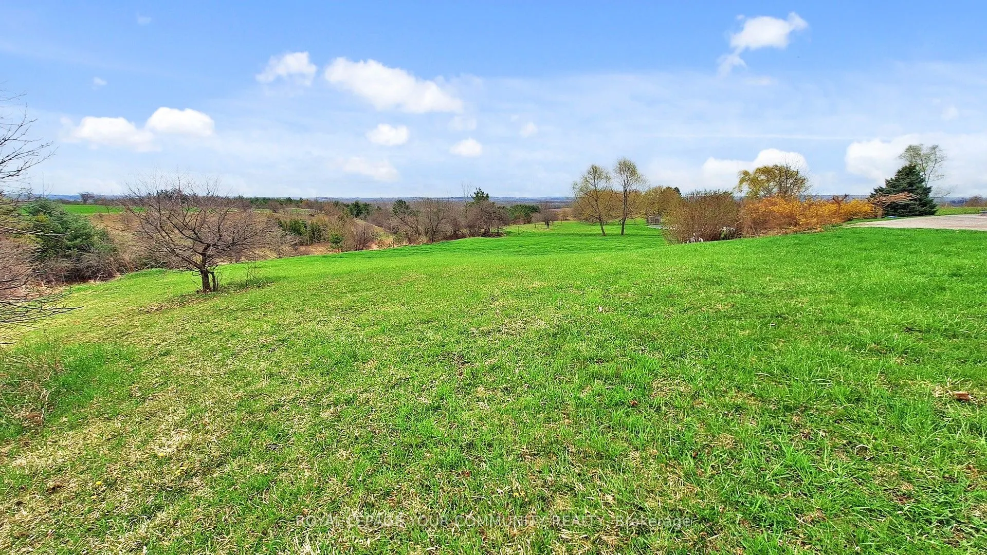 4499 Sideroad 15 Side Road
