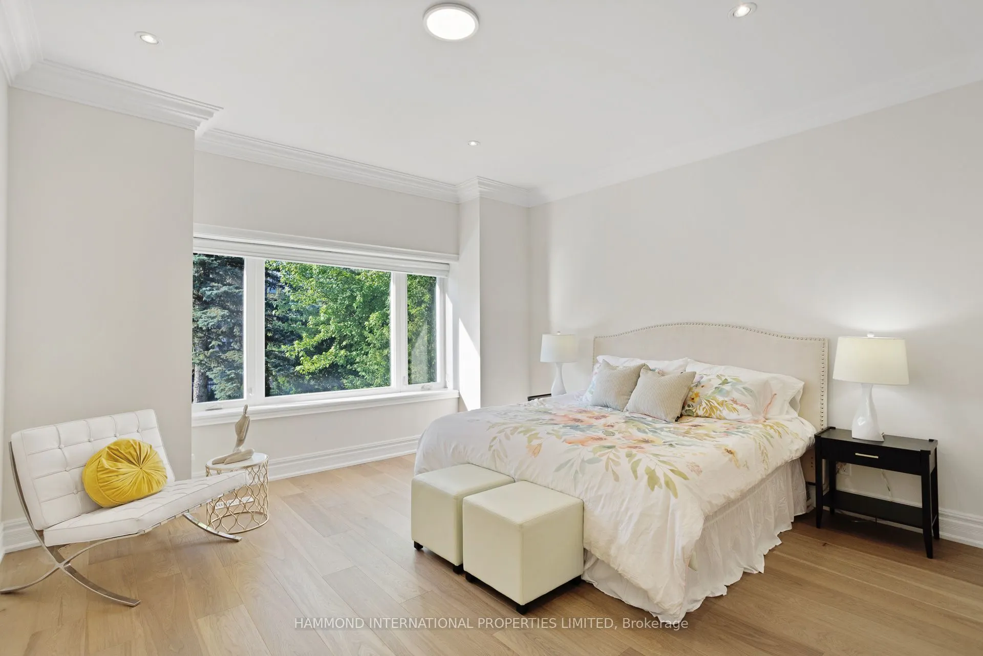 117 Elgin Street