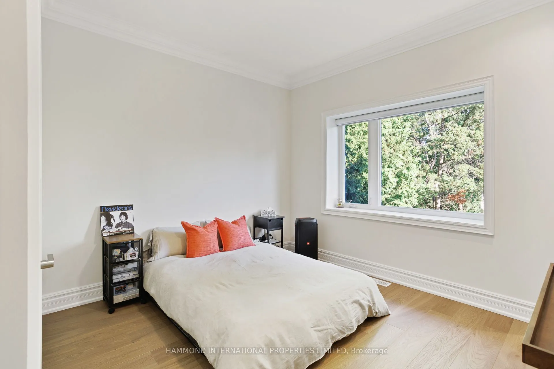 117 Elgin Street