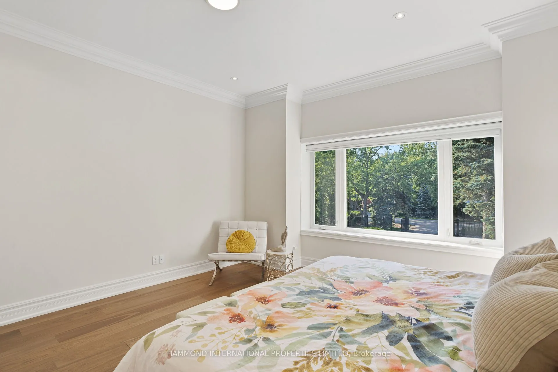 117 Elgin Street