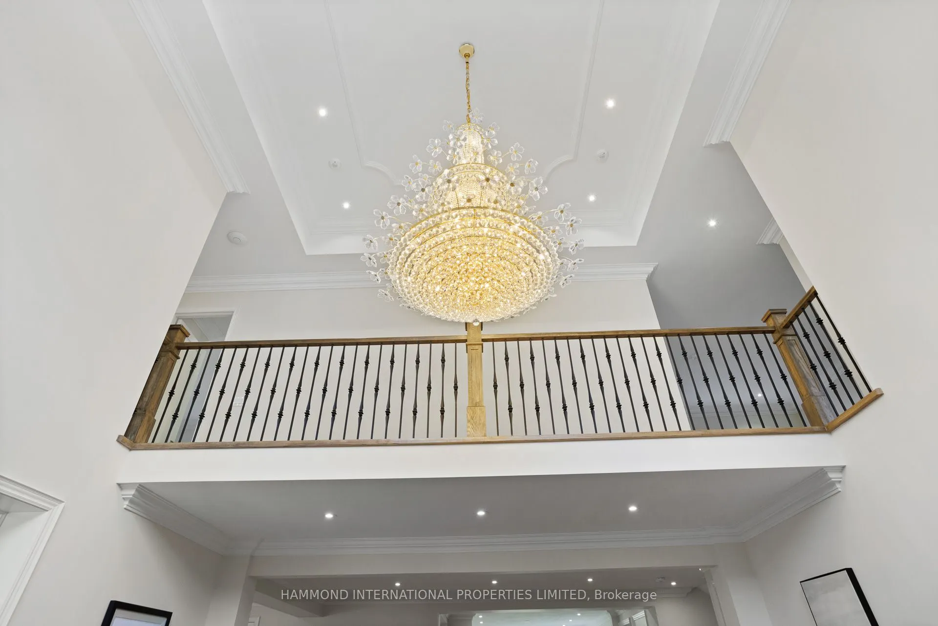 117 Elgin Street