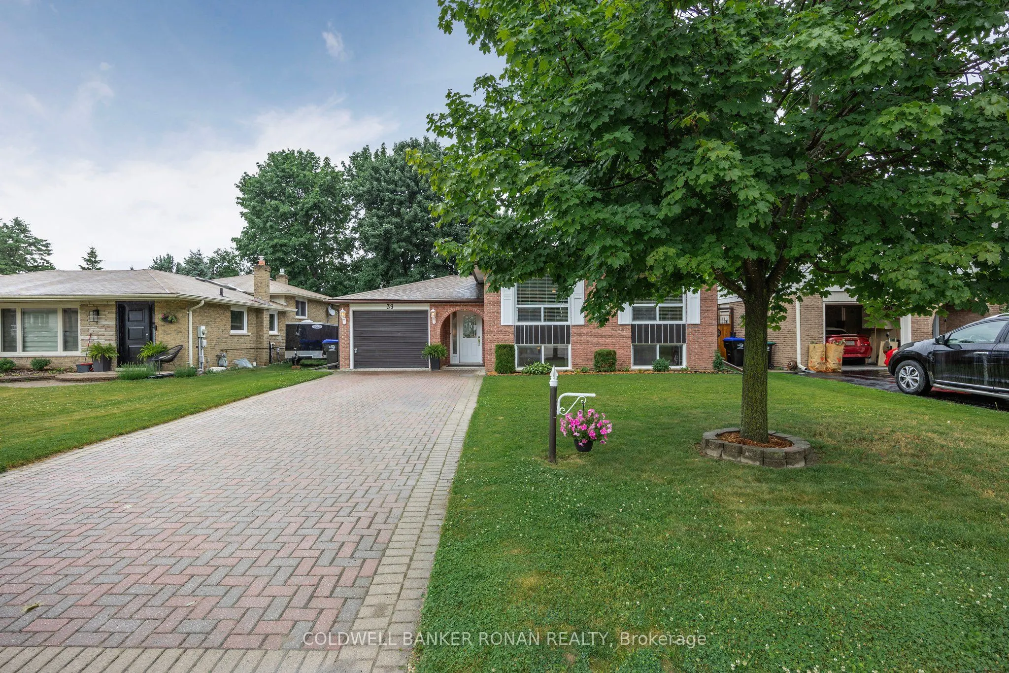 39 Mitchell Avenue