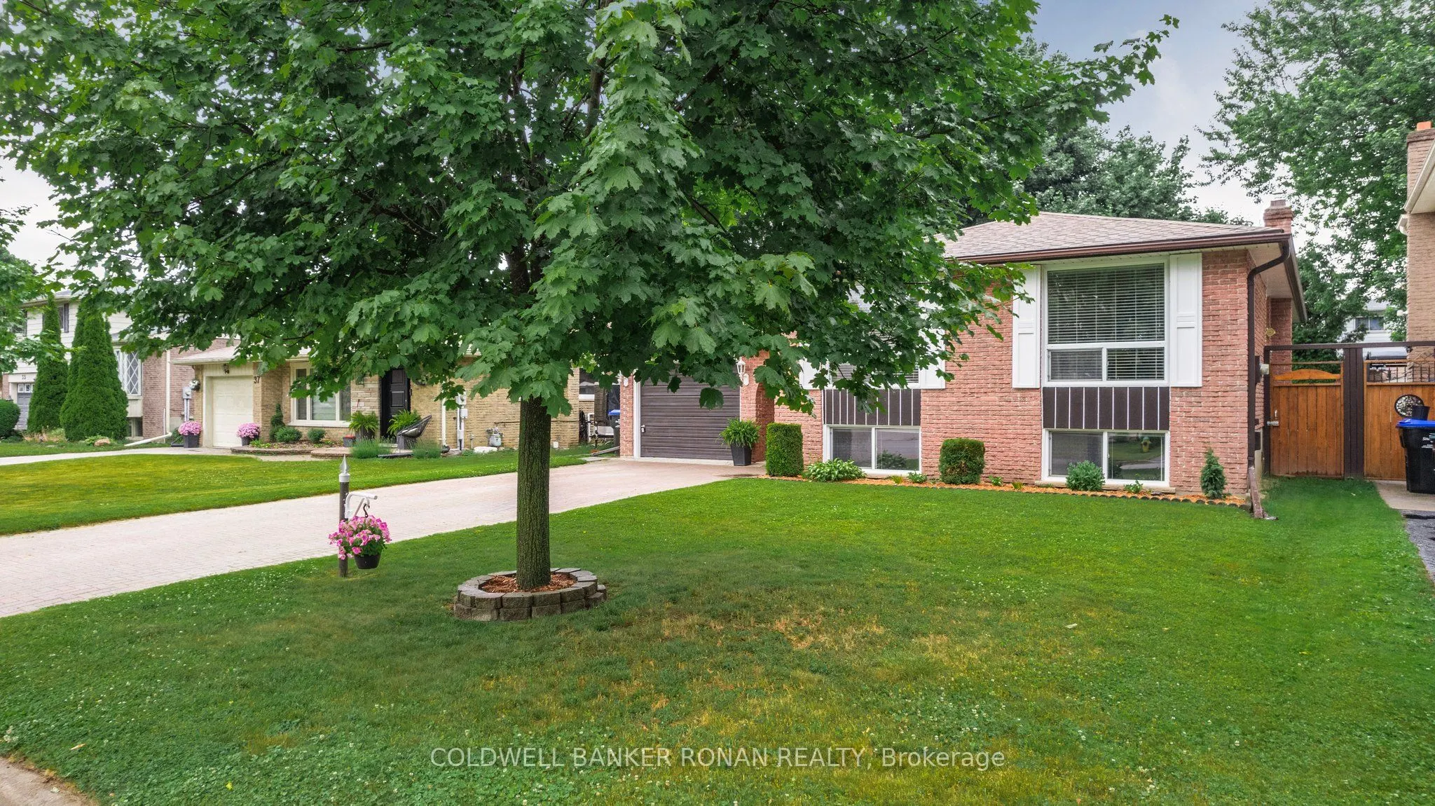 39 Mitchell Avenue