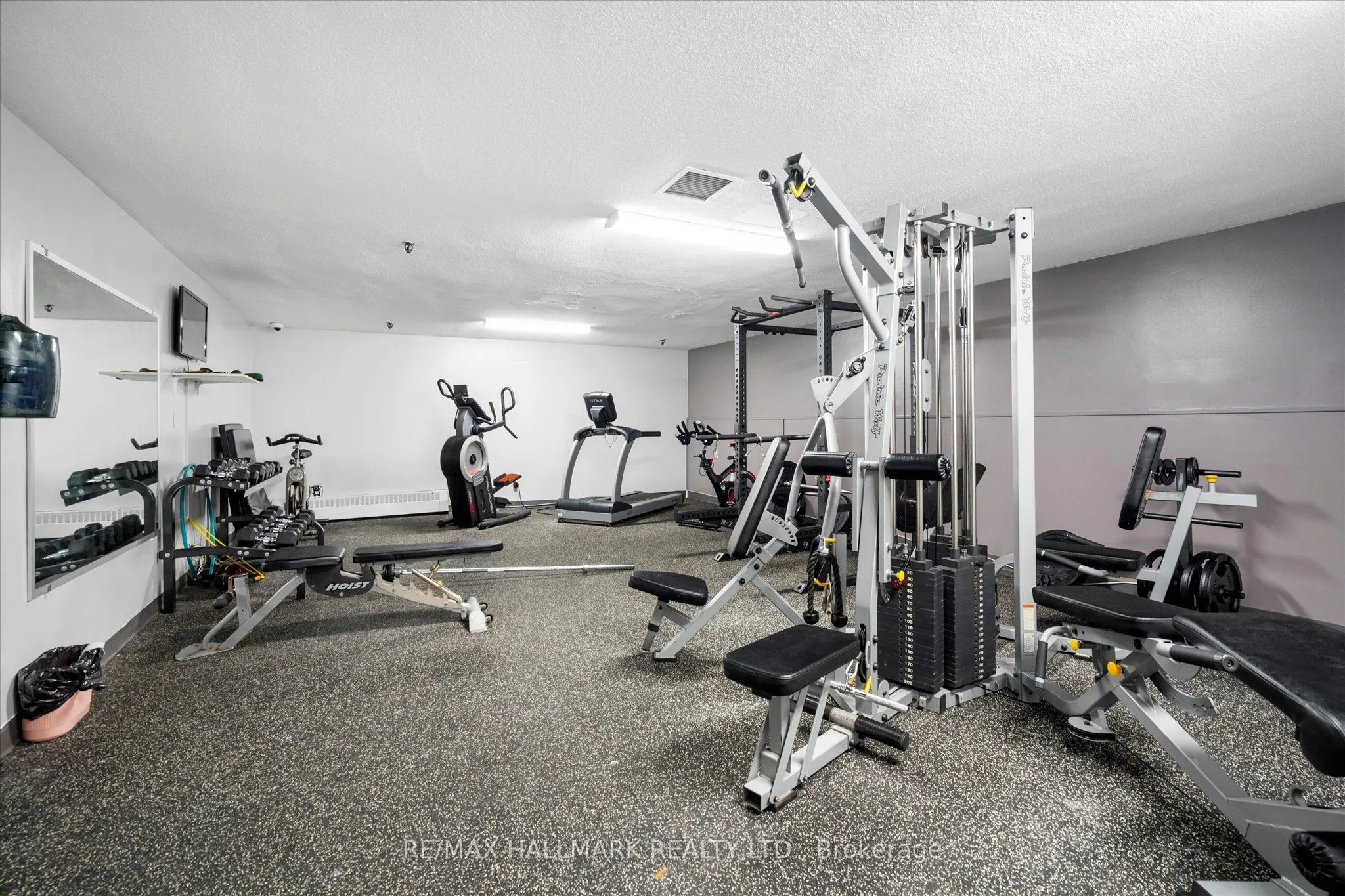 16 Elgin Street, #339