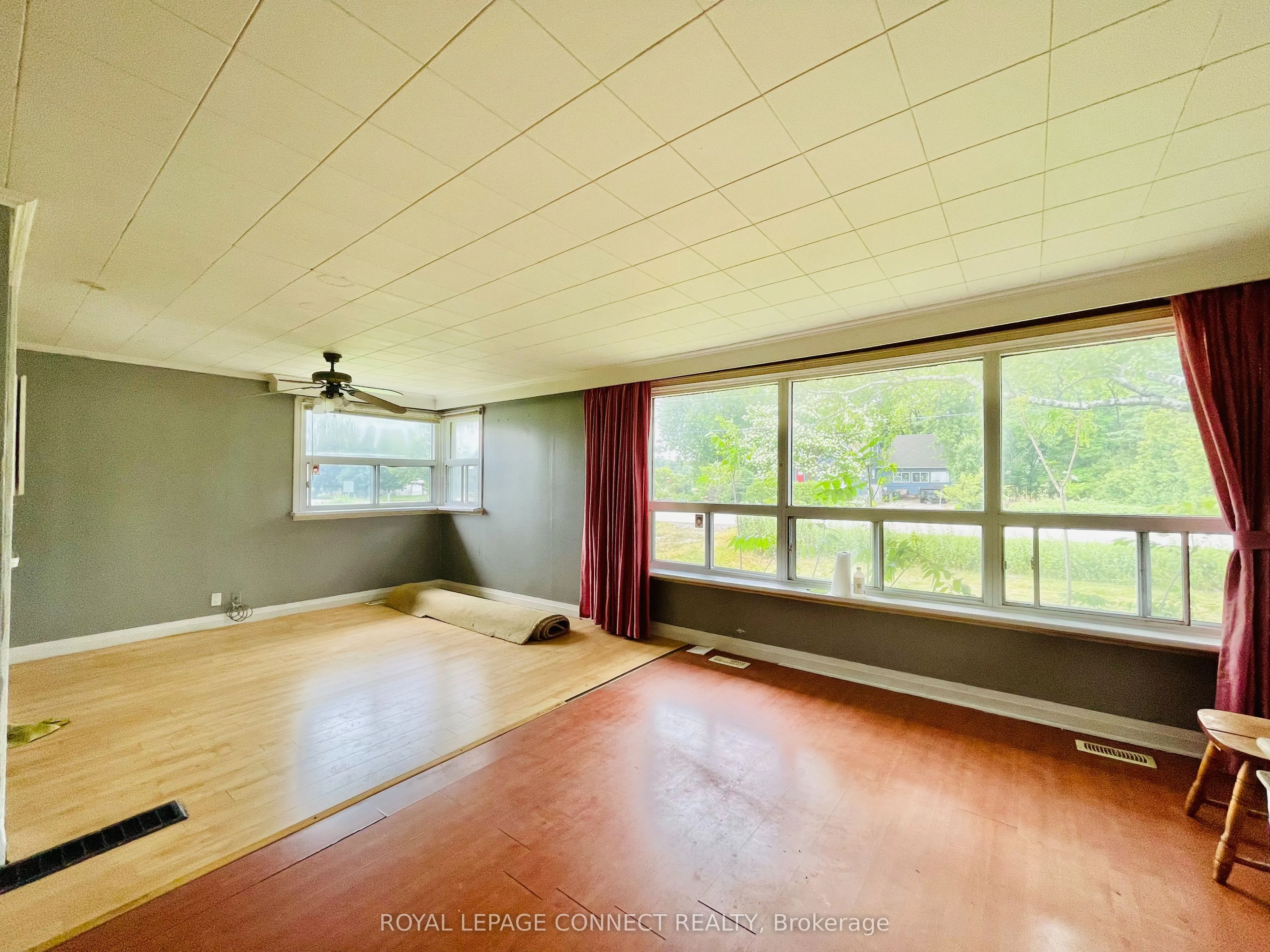 19470 Dufferin Street, #3