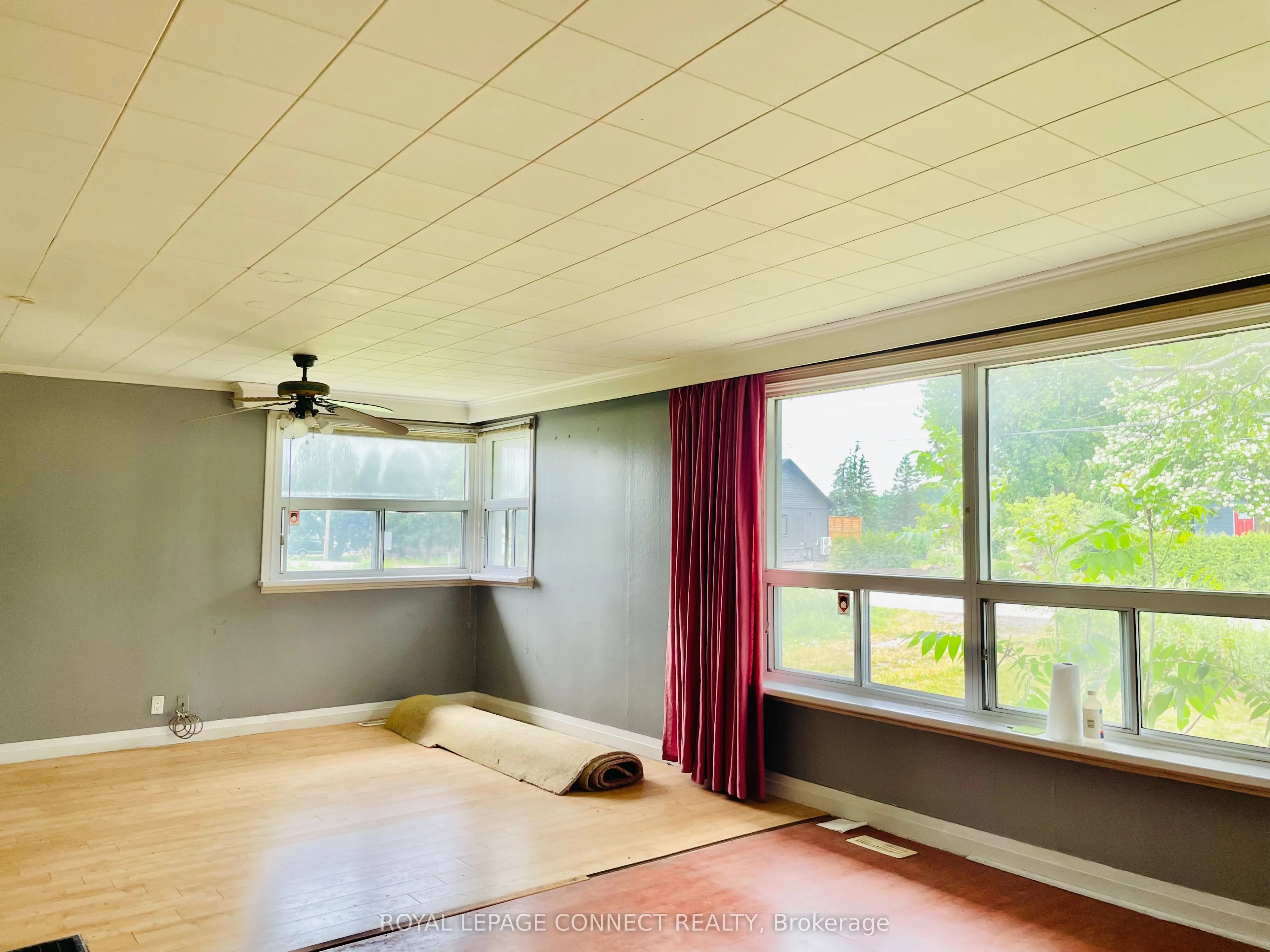 19470 Dufferin Street, #3